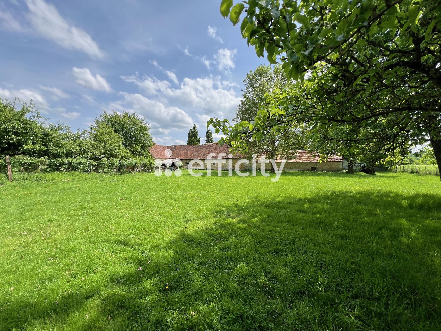 Achat immobilier Maison 5 pièces  122m2 à Mortagne-au-Perche (61400) - Photo n°10