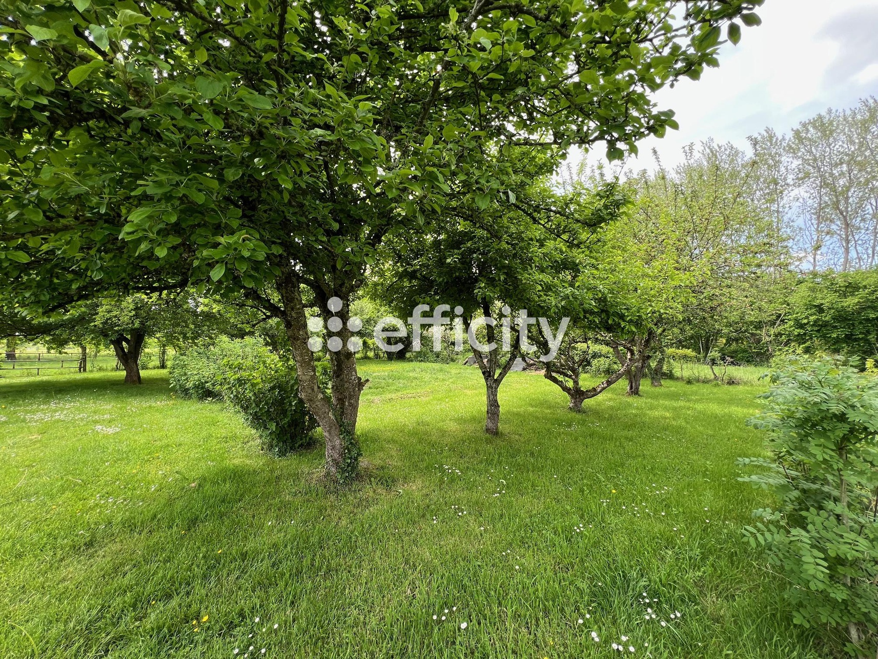 Achat immobilier Maison 5 pièces  122m2 à Mortagne-au-Perche (61400) - Photo n°13