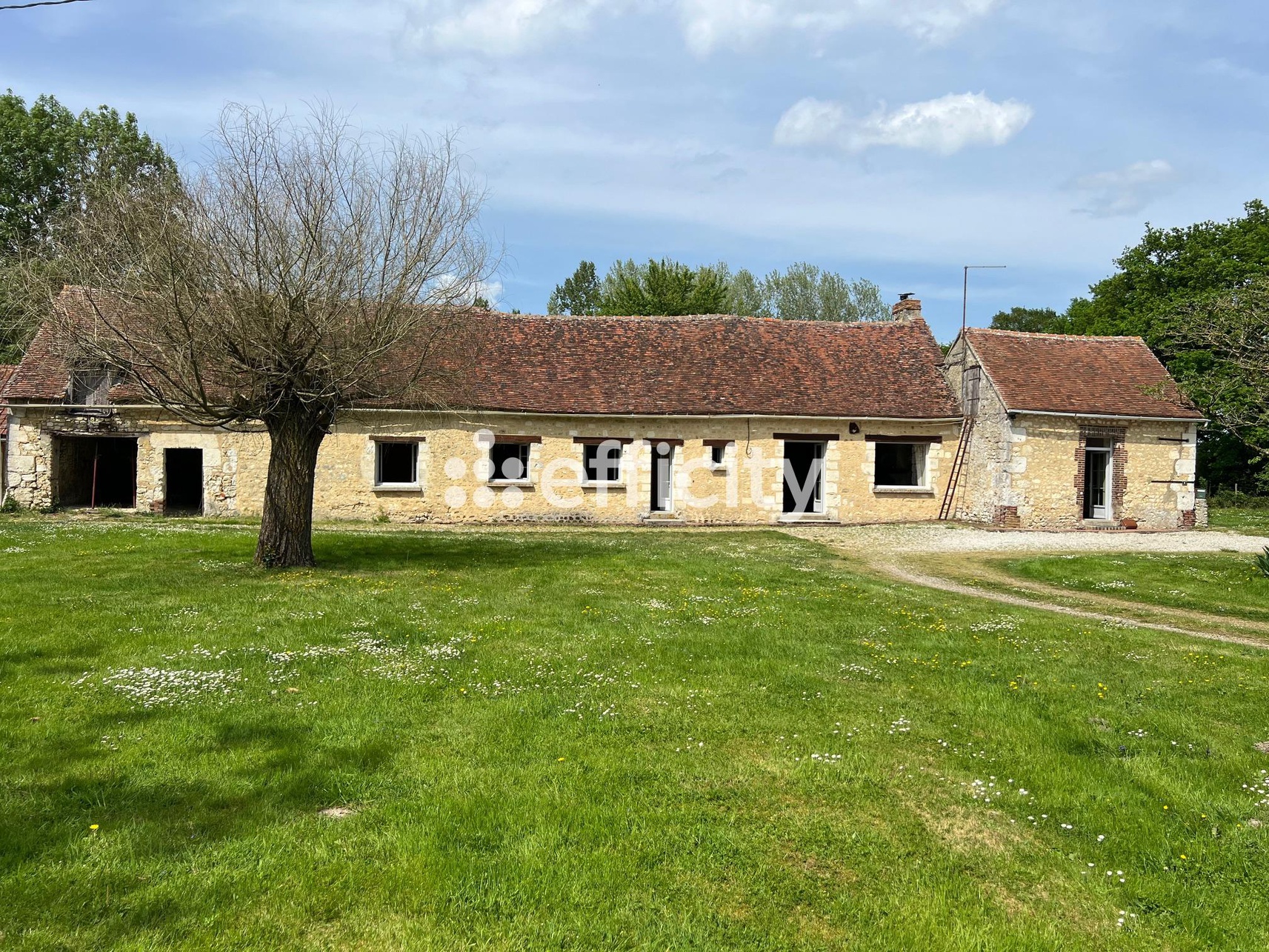 Achat immobilier Maison 5 pièces  122m2 à Mortagne-au-Perche (61400) - Photo n°11