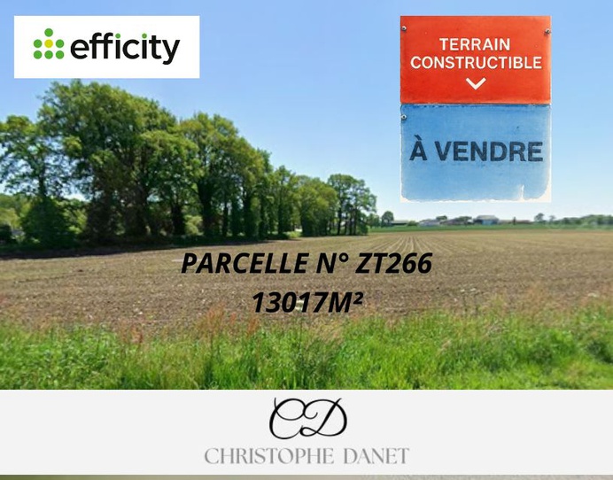 Achat immobilier Terrain   13017m2 à Guéhenno (56420) - Photo n°1