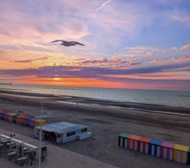 maison 6 pièces - 160m2 à Dunkerque (59240)