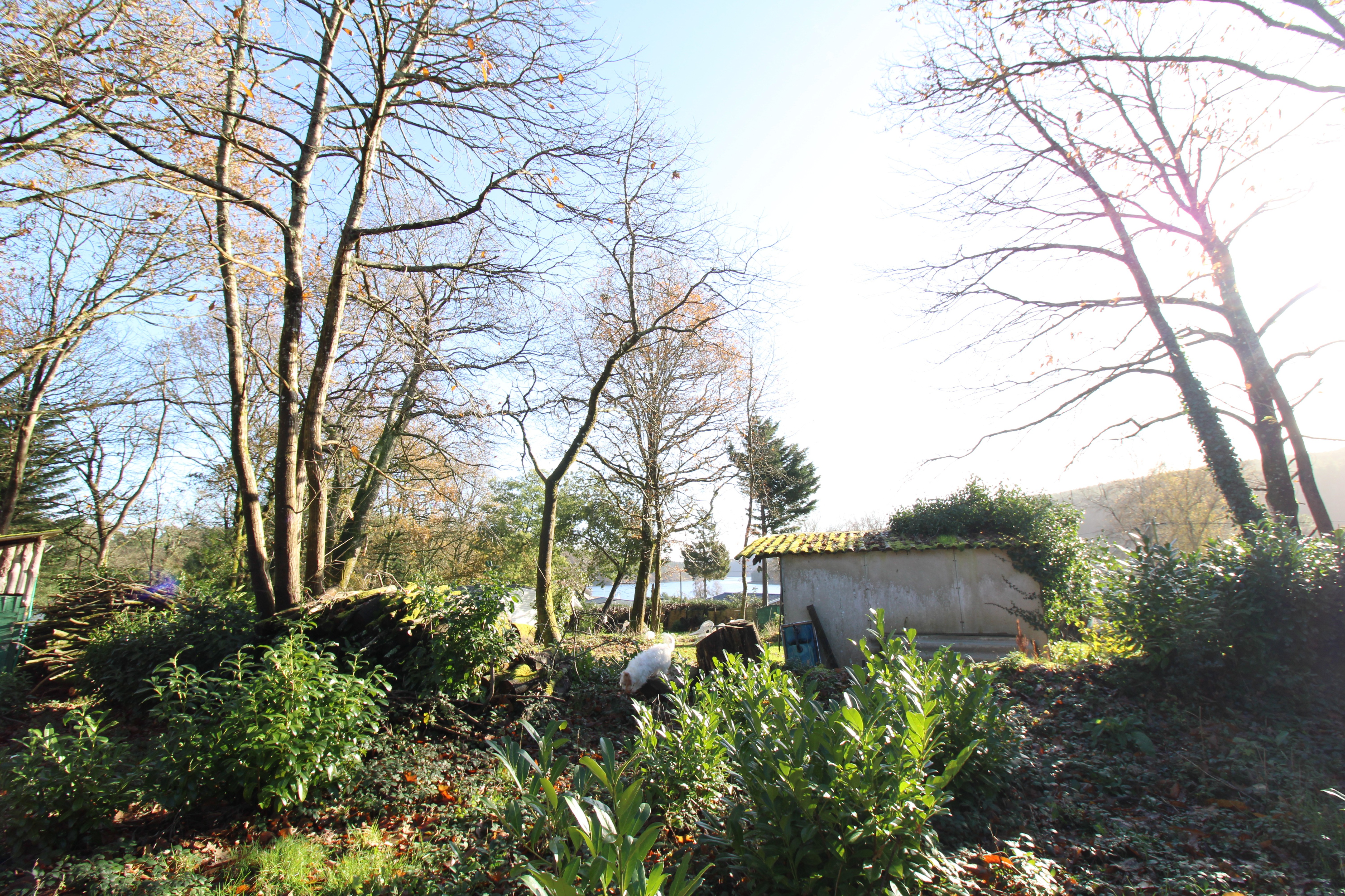 Achat immobilier Terrain   30030m2 à Caurel (22530) - Photo n°1