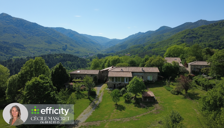 maison 11 pièces - 300,0m2 à Jaujac (07380)
