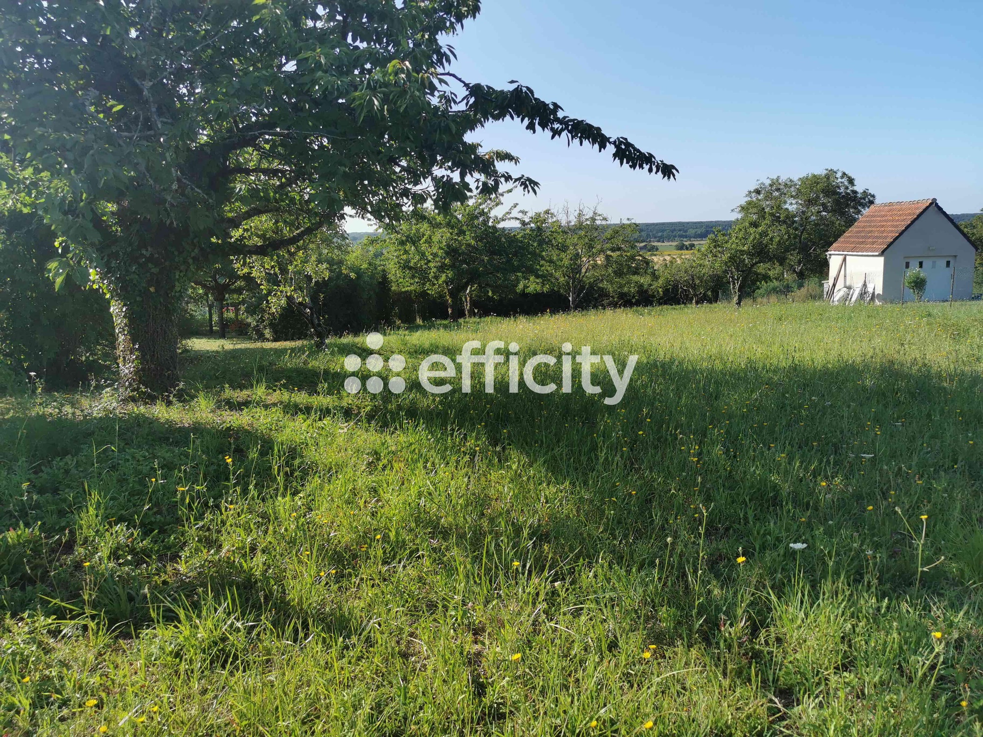terrain  - 1505m2 à Veuzain-sur-Loire (41150)