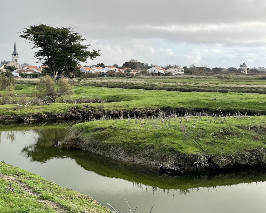 terrain  - 11140m2 à L'Île-d'Olonne (85340)
