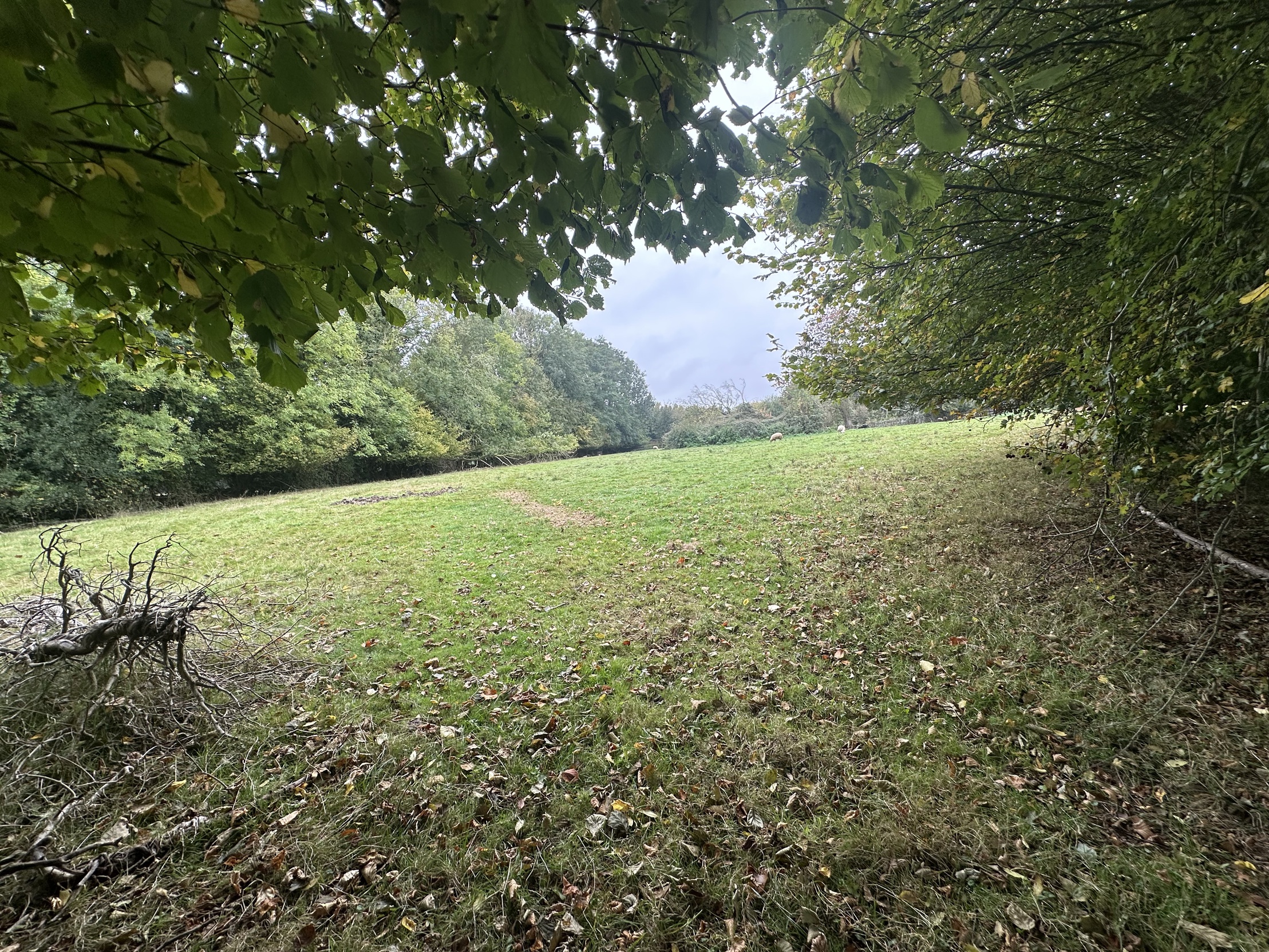 terrain  - 2000m2 à Saint-Étienne-la-Thillaye (14950)