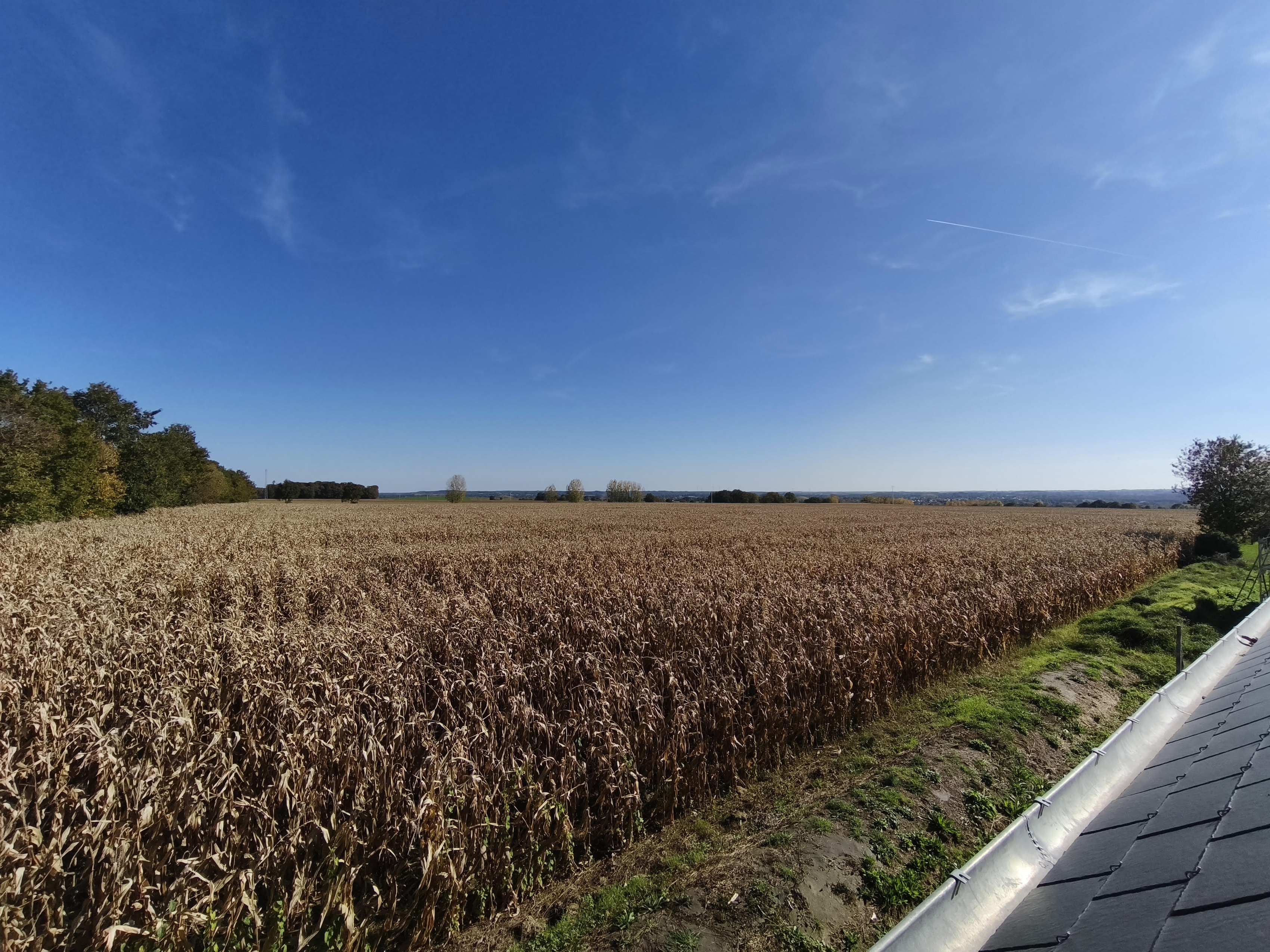 Achat immobilier Maison 4 pièces  89m2 à Pleugueneuc (35720) - Photo n°15