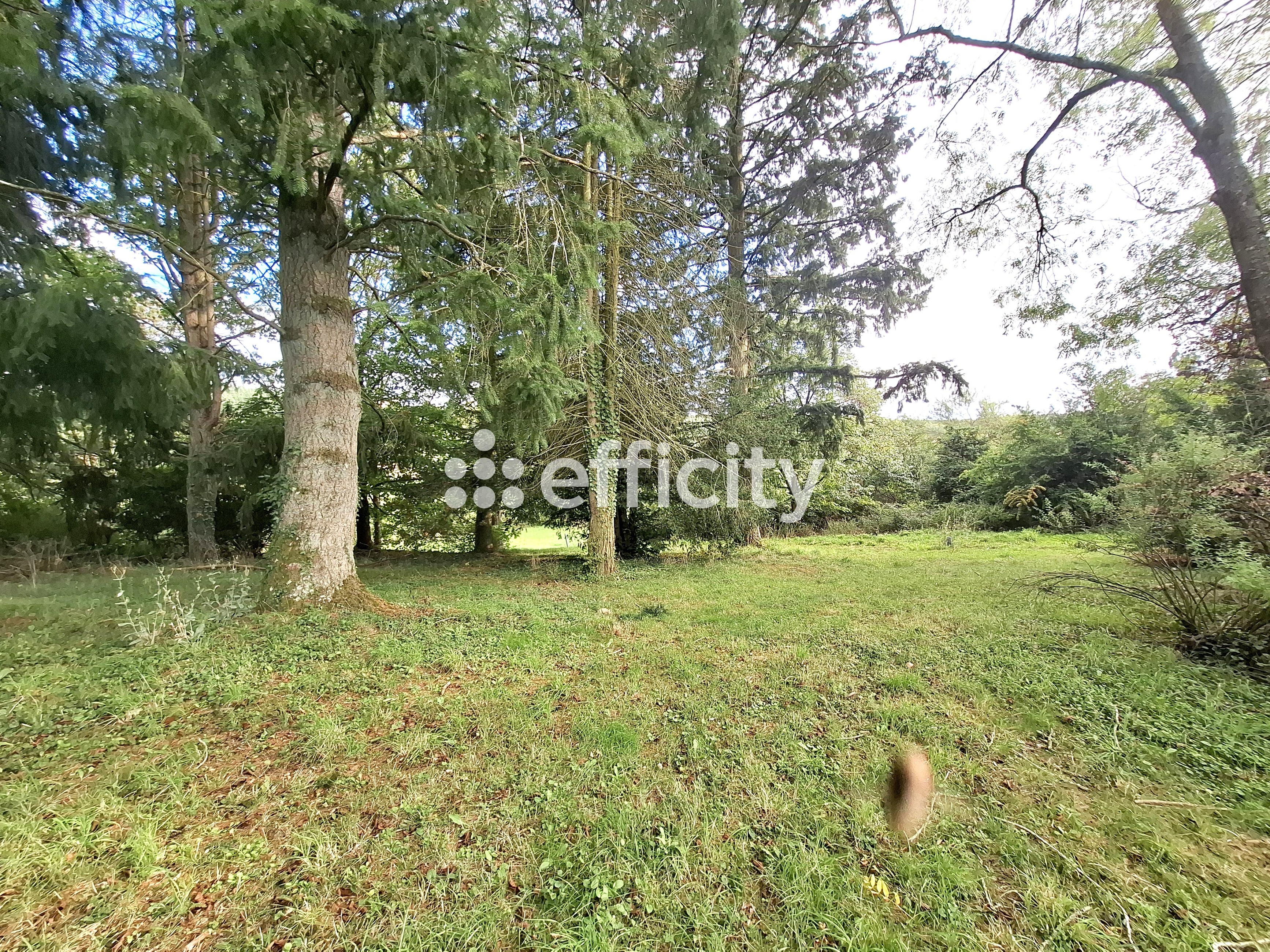Achat immobilier Maison 5 pièces  116m2 à Champrond-en-Gâtine (28240) - Photo n°4