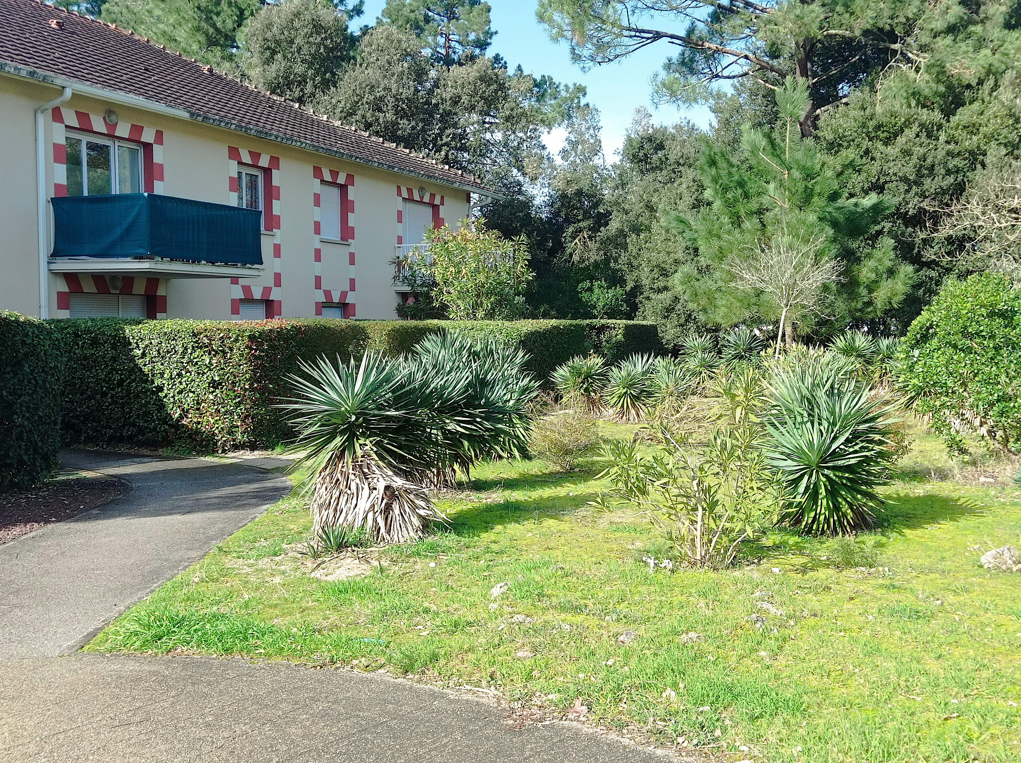 Achat immobilier Appartement 3 pièces  62m2 à Le Verdon-sur-Mer (33123) - Photo n°6