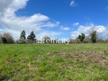 terrain  - 16910,0m2 à Thiers (63300)