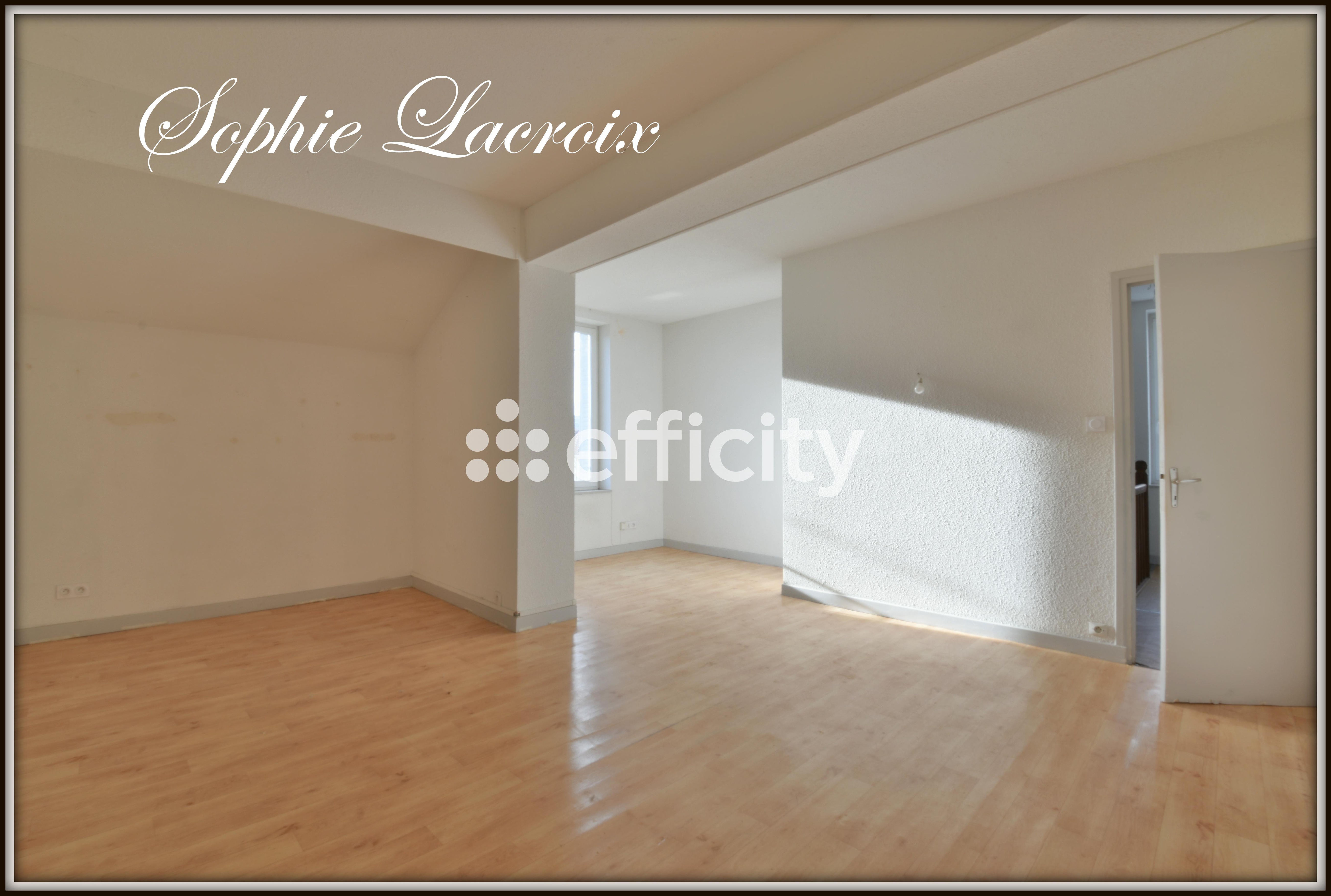 Achat immobilier Maison 4 pièces  123m2 à Saint-Rambert-d'Albon (26140) - Photo n°5