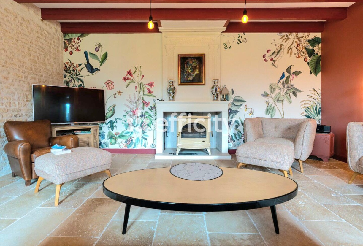 Achat immobilier Maison 11 pièces  310m2 à Vouhé (17700) - Photo n°5