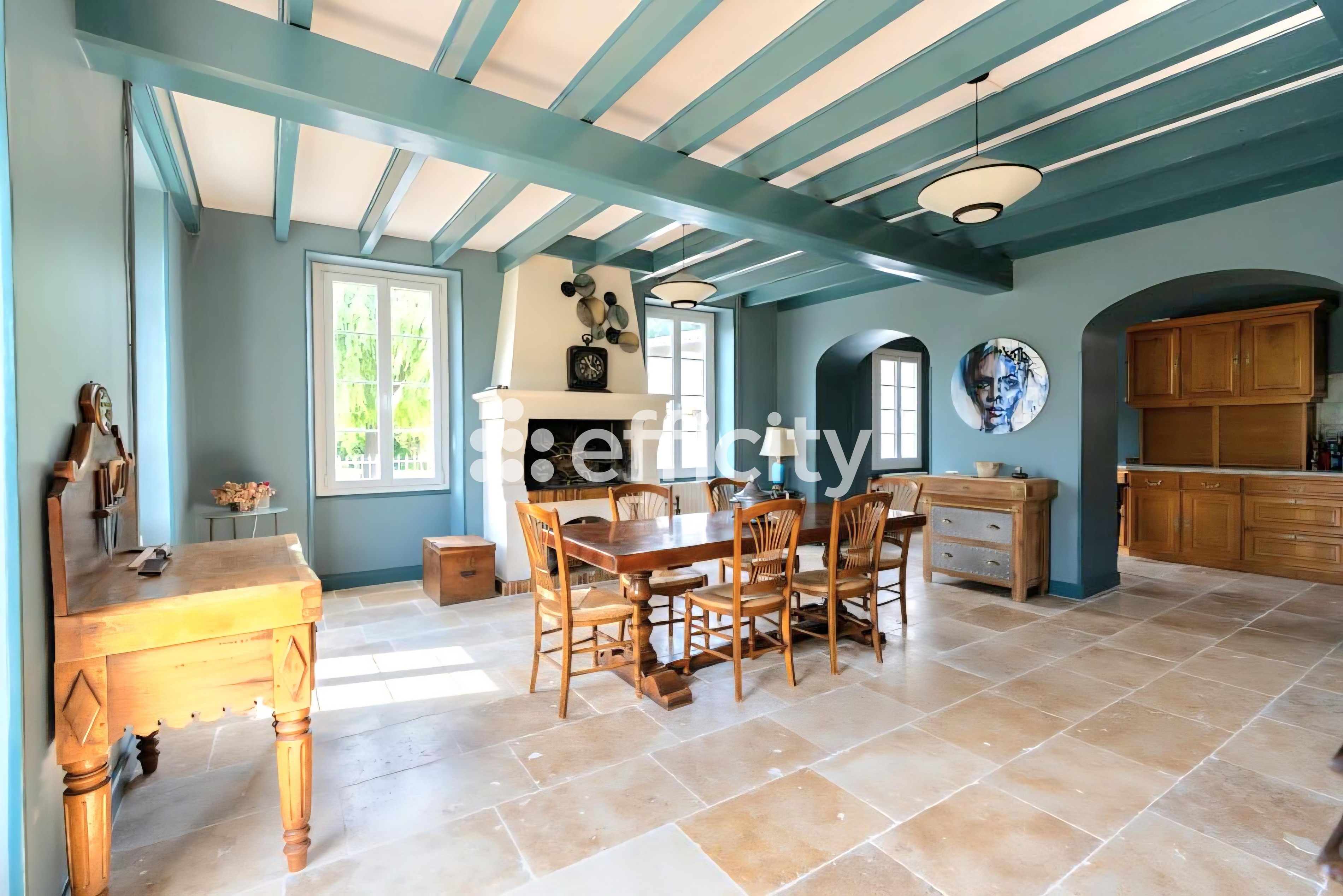 Achat immobilier Maison 11 pièces  310m2 à Vouhé (17700) - Photo n°6