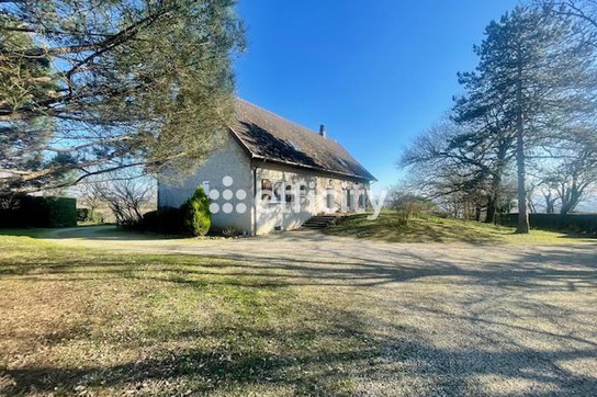 Achat immobilier Maison 7 pièces  184m2 à Saint-Maurice-l'Exil (38550) - Photo n°7