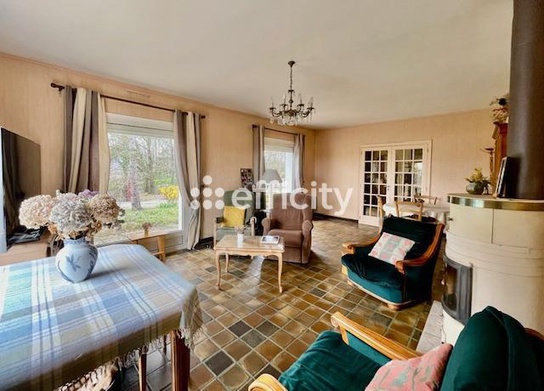 Achat immobilier Maison 7 pièces  184m2 à Saint-Maurice-l'Exil (38550) - Photo n°5