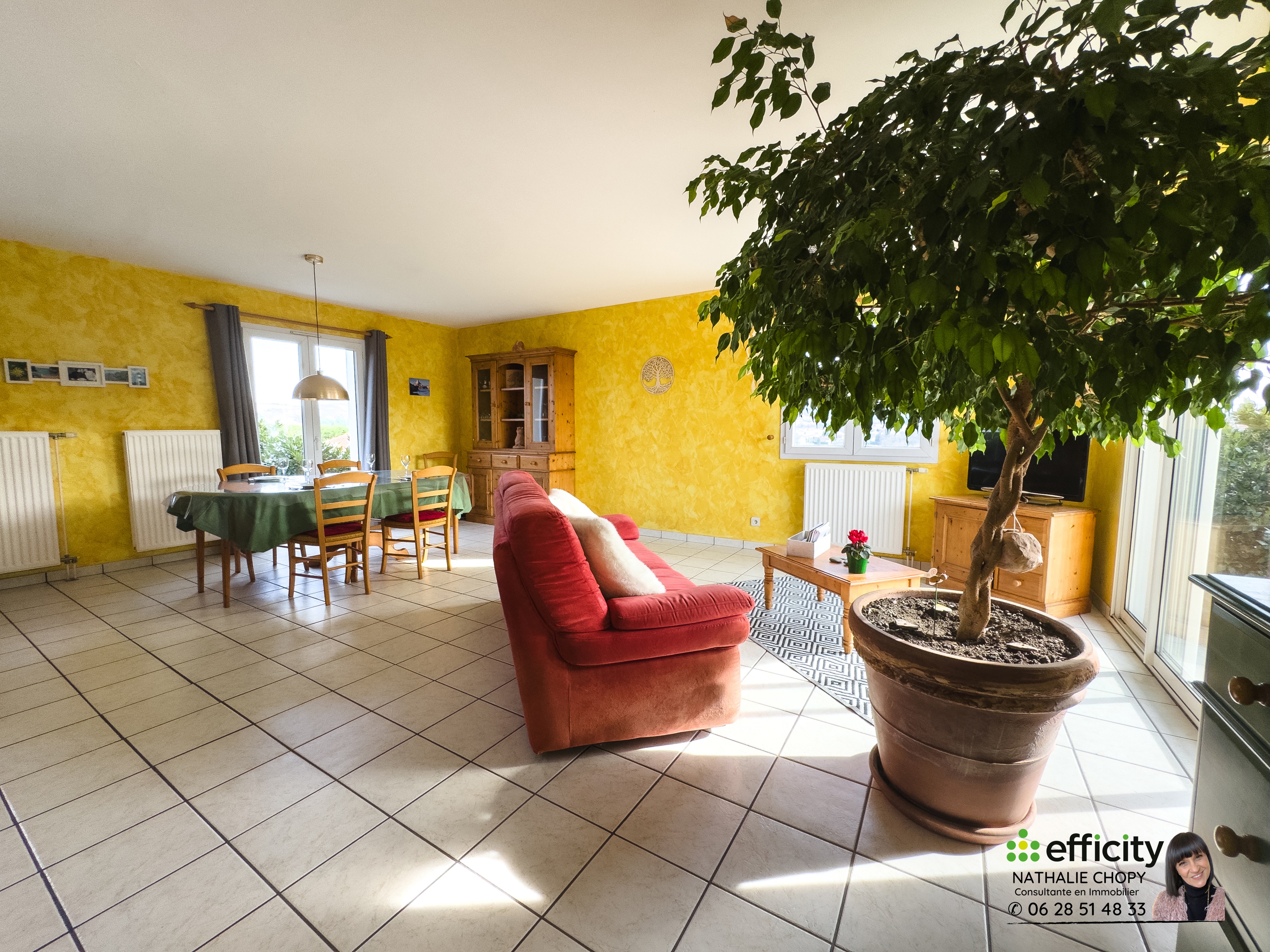 Achat immobilier Maison 5 pièces  105m2 à Roche-la-Molière (42230) - Photo n°5