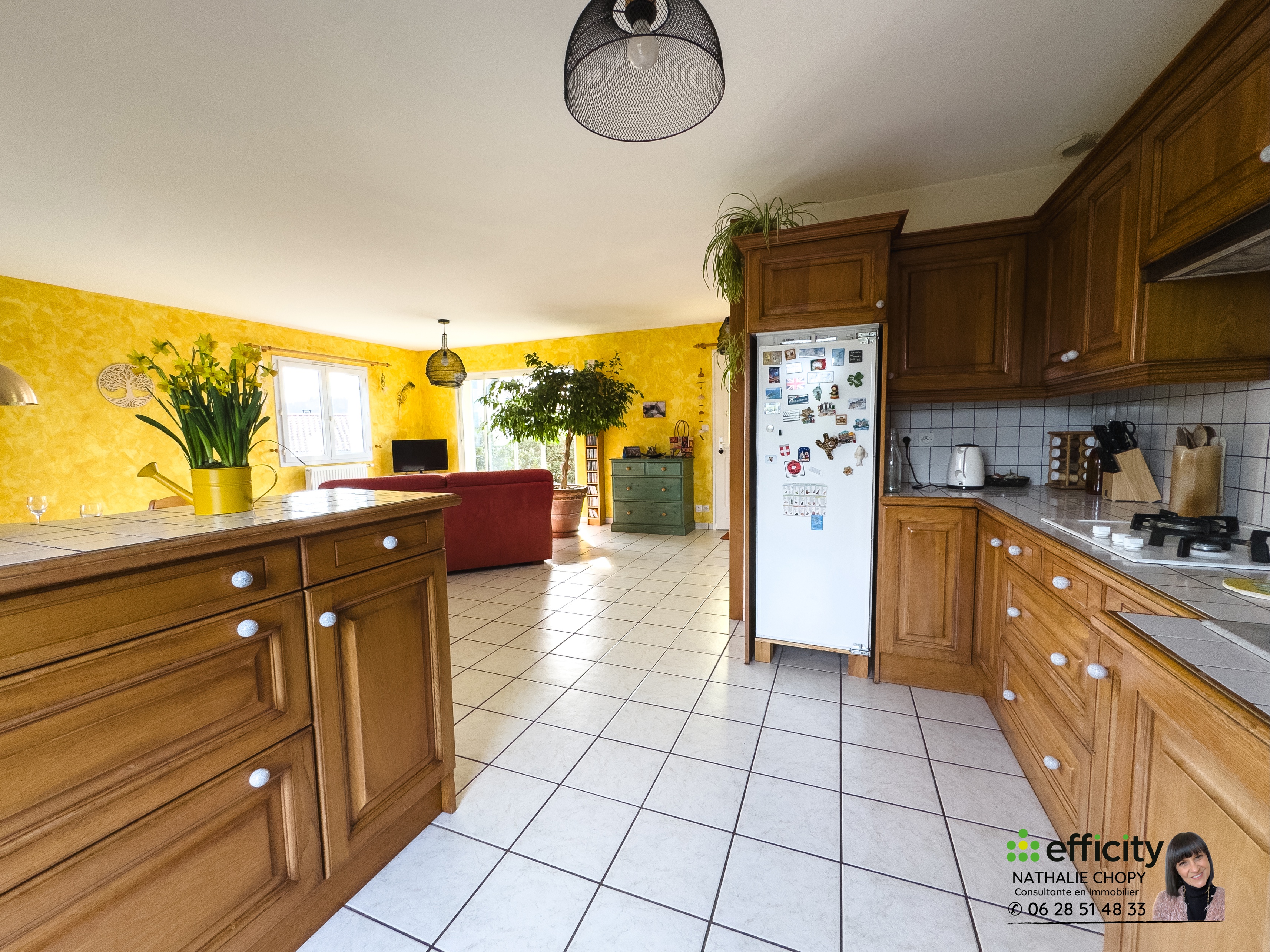 Achat immobilier Maison 5 pièces  105m2 à Roche-la-Molière (42230) - Photo n°7