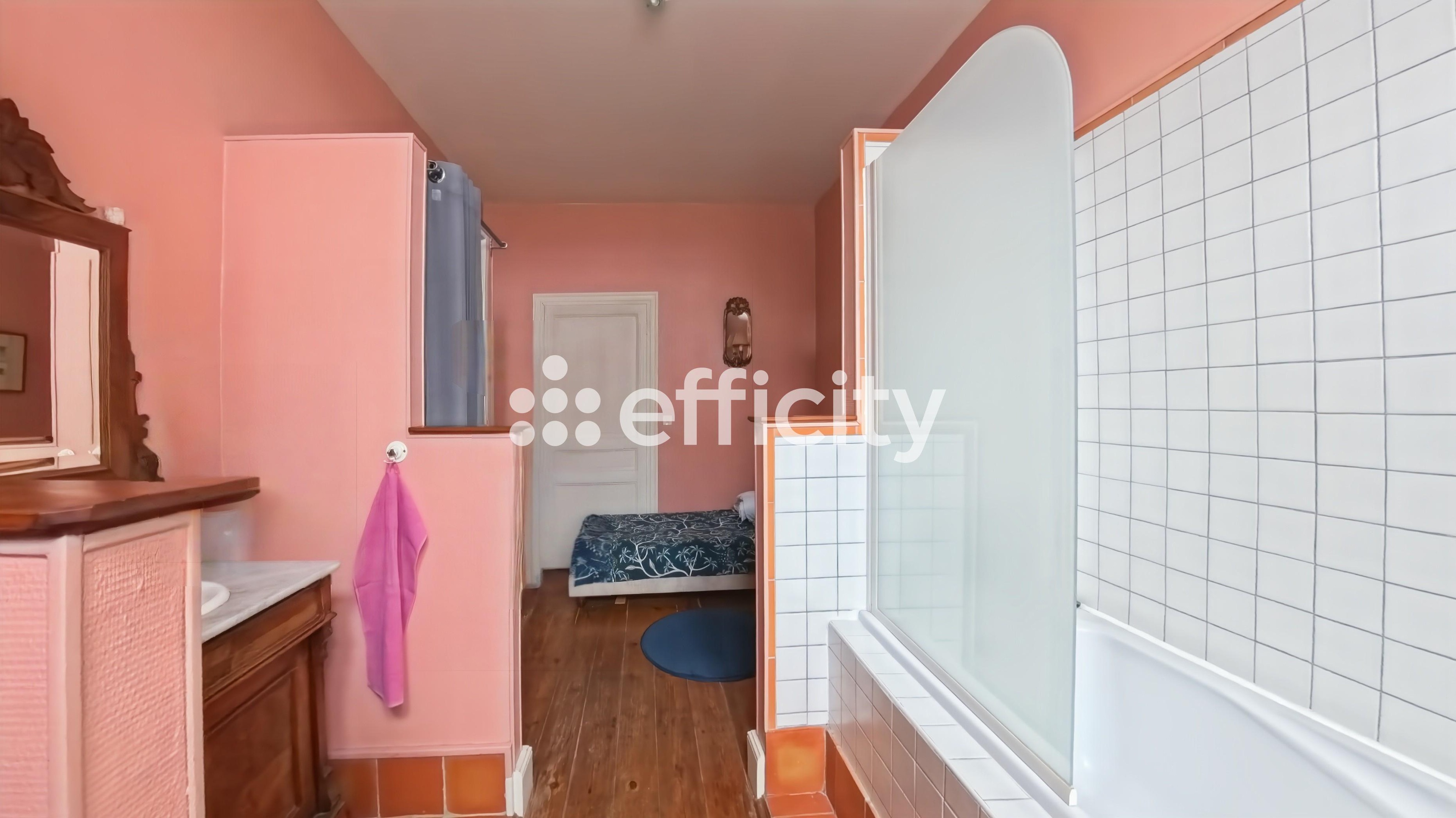 Achat immobilier Maison 13 pièces  441m2 à Penne-d'Agenais (47140) - Photo n°20