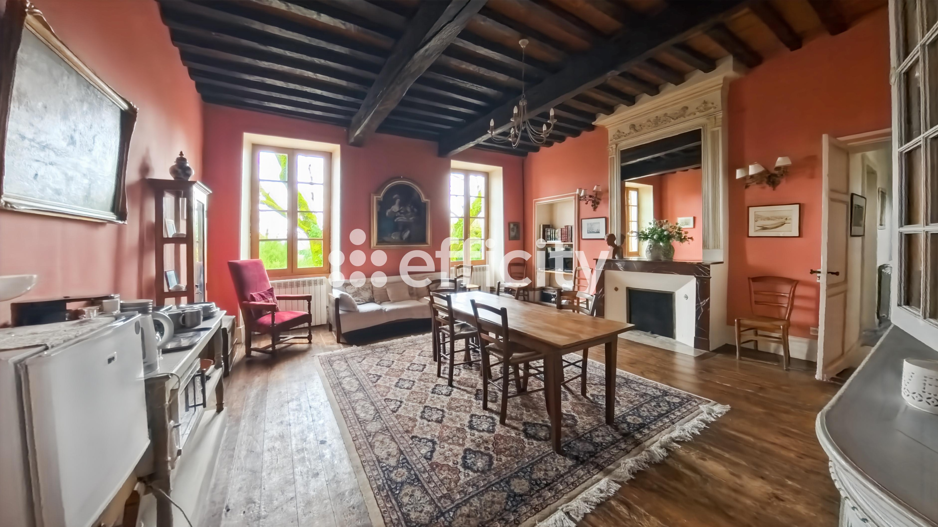 Achat immobilier Maison 13 pièces  441m2 à Penne-d'Agenais (47140) - Photo n°22