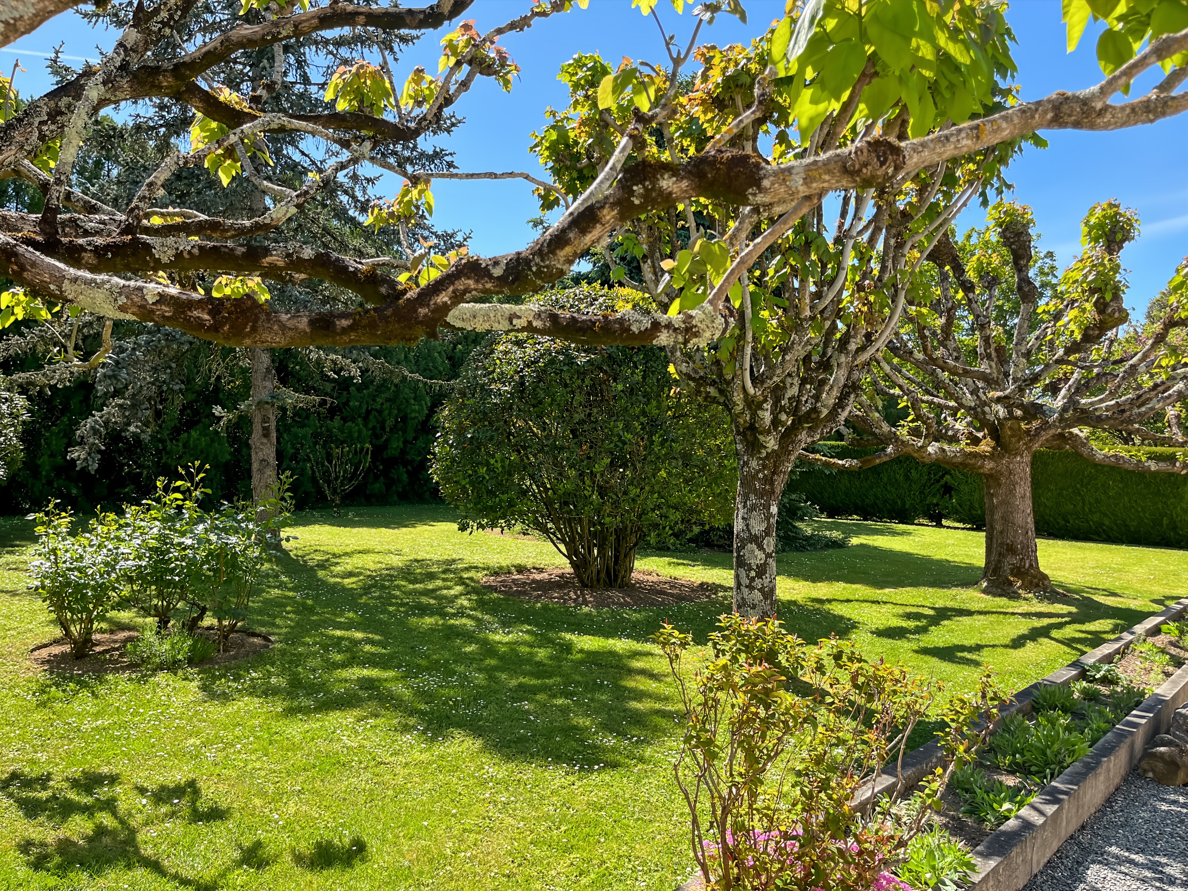 Achat immobilier Maison 5 pièces  140m2 à Louzignac (17160) - Photo n°17