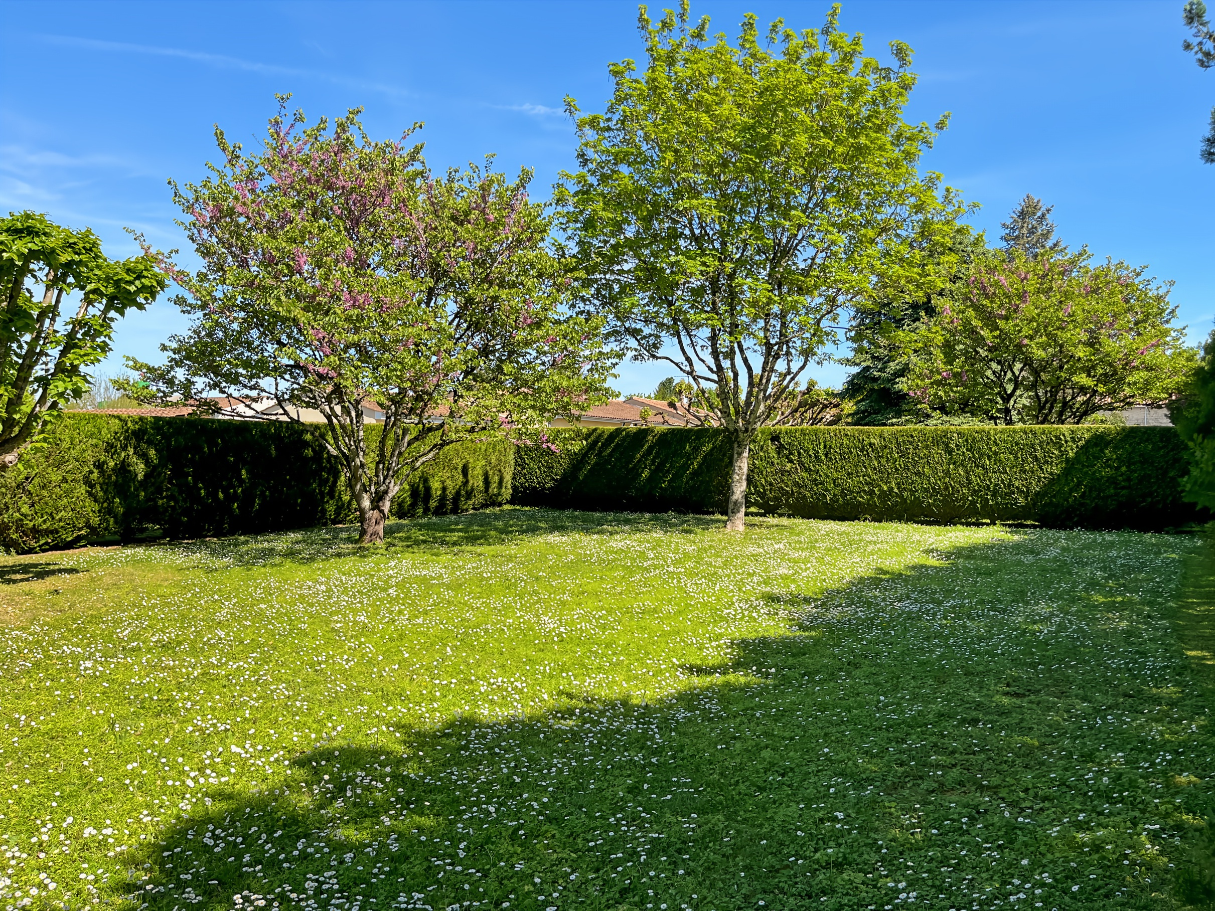 Achat immobilier Maison 5 pièces  140m2 à Louzignac (17160) - Photo n°16