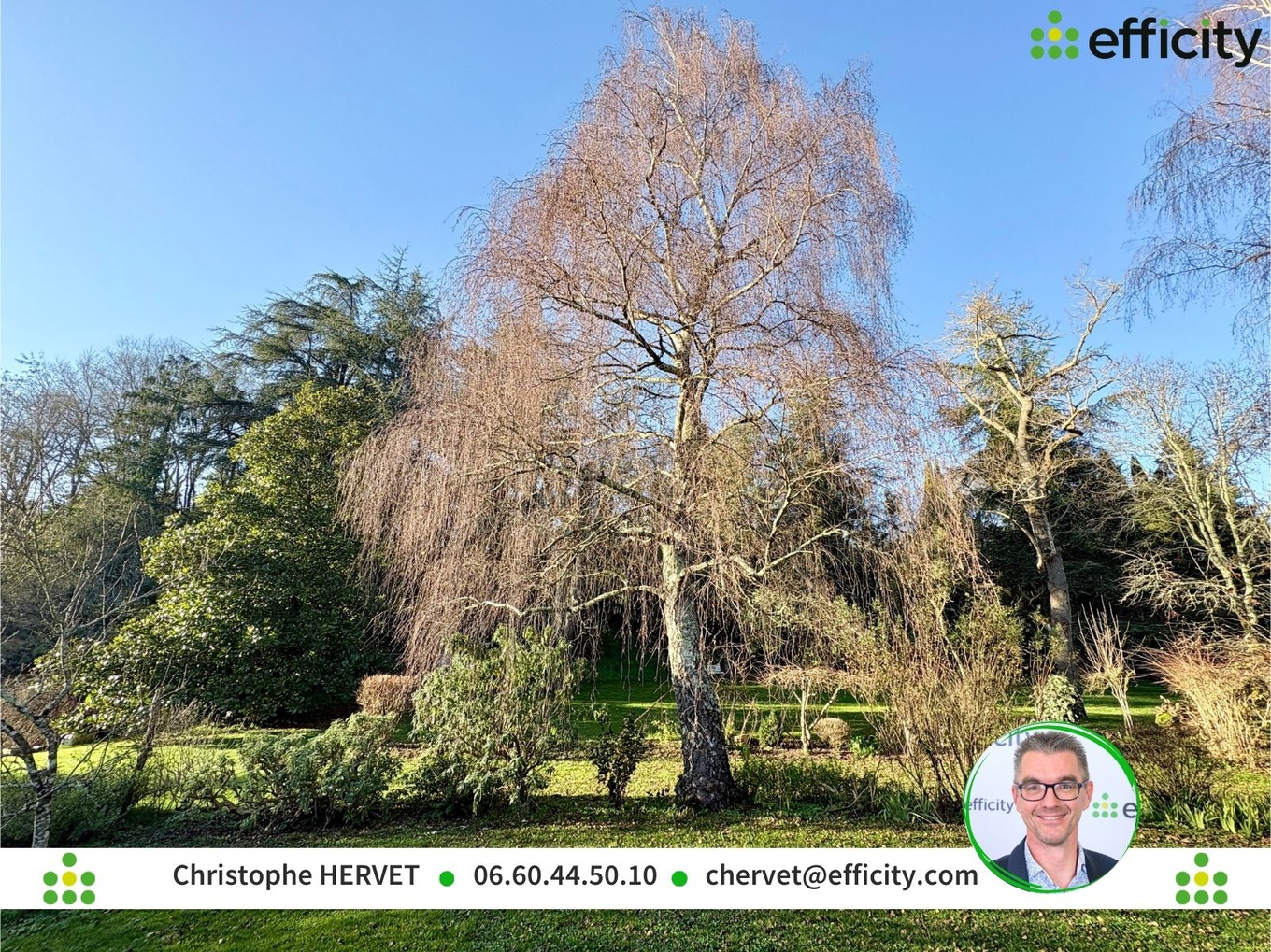 Achat immobilier Maison 11 pièces  383m2 à Saintes (17100) - Photo n°7