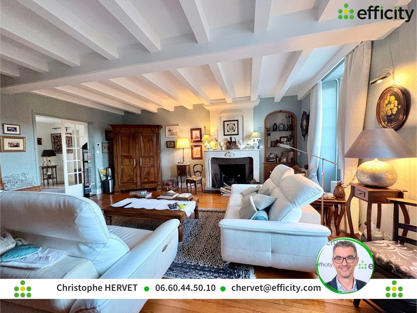 Achat immobilier Maison 11 pièces  383m2 à Saintes (17100) - Photo n°11