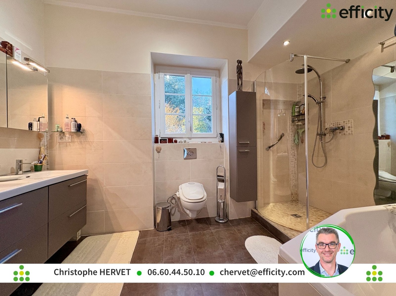 Achat immobilier Maison 11 pièces  383m2 à Saintes (17100) - Photo n°14