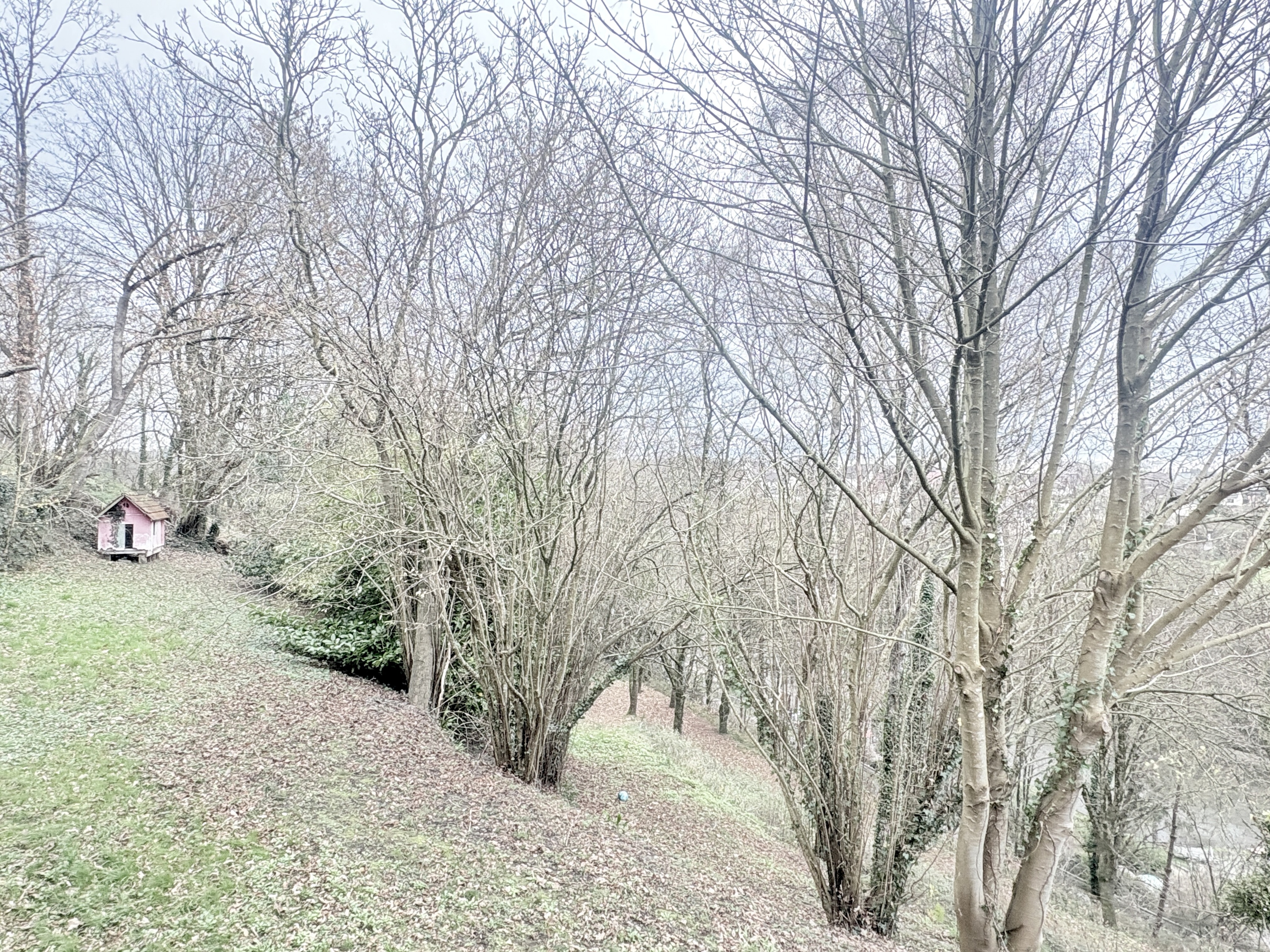 Achat immobilier Maison 7 pièces  216m2 à Saint-Lô (50000) - Photo n°5