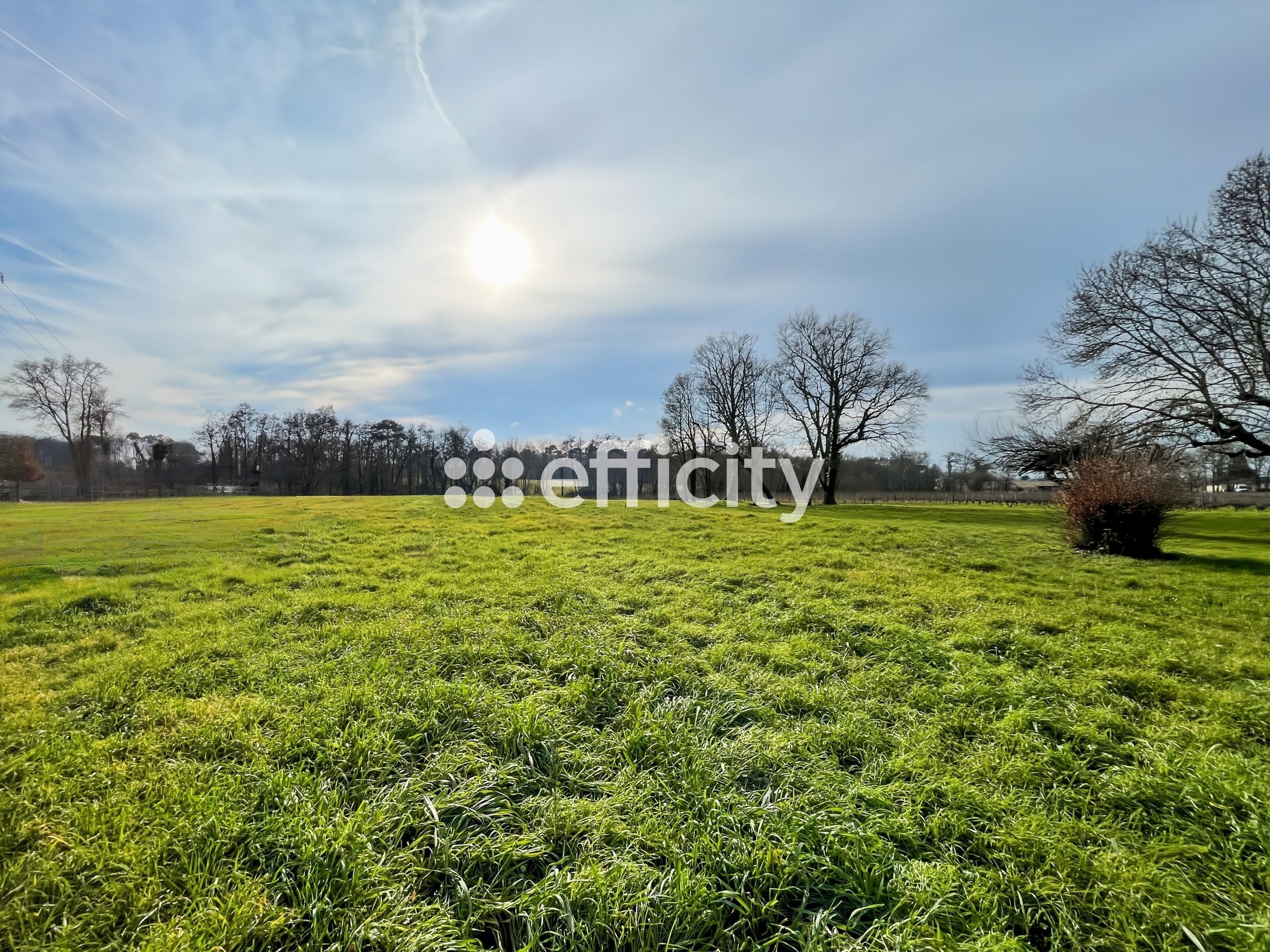 Achat immobilier Terrain   6390m2 à Les Artigues-de-Lussac (33570) - Photo n°1
