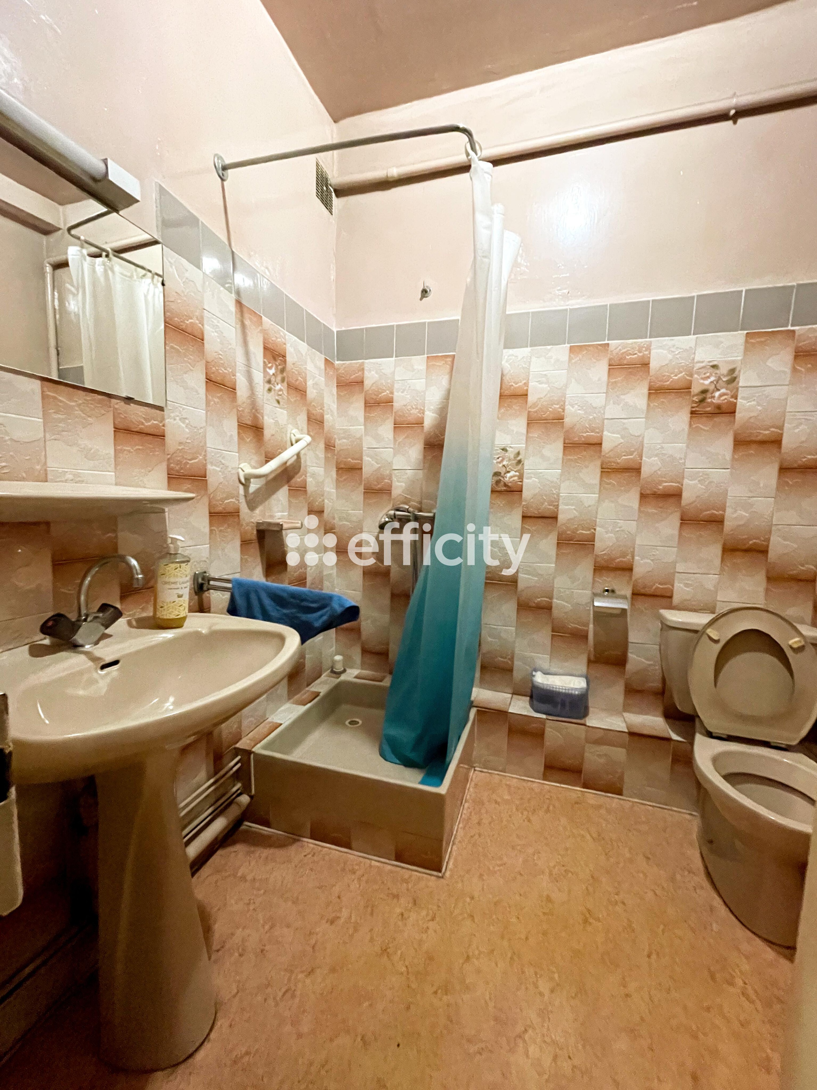 Achat immobilier Maison 5 pièces  149m2 à Pamiers (09100) - Photo n°5