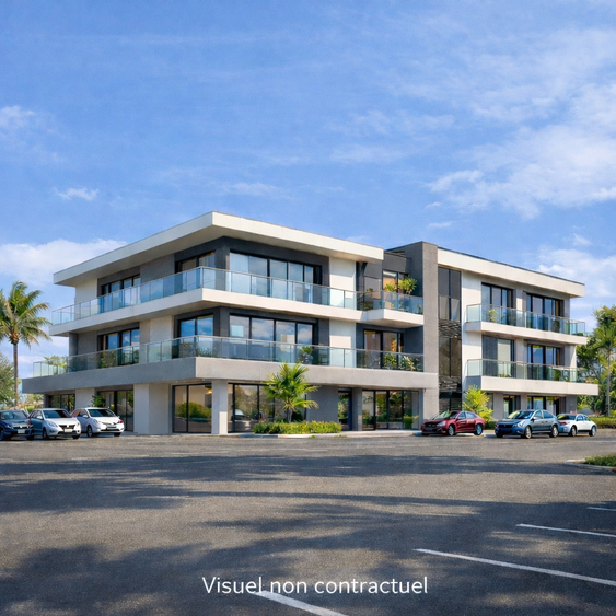 immeuble 14 pièces - 200m2 à Saint-Pierre (97410)