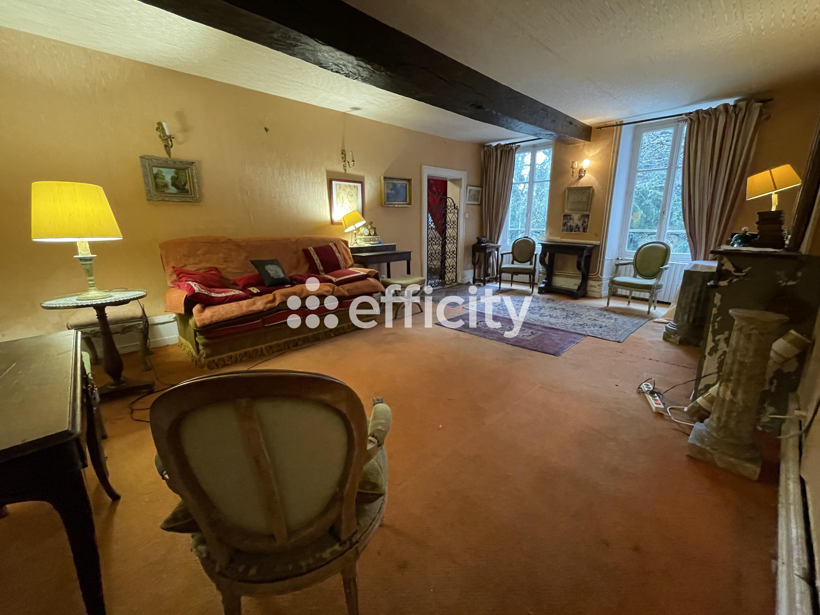 Achat immobilier Maison 12 pièces  350m2 à Busset (03270) - Photo n°5