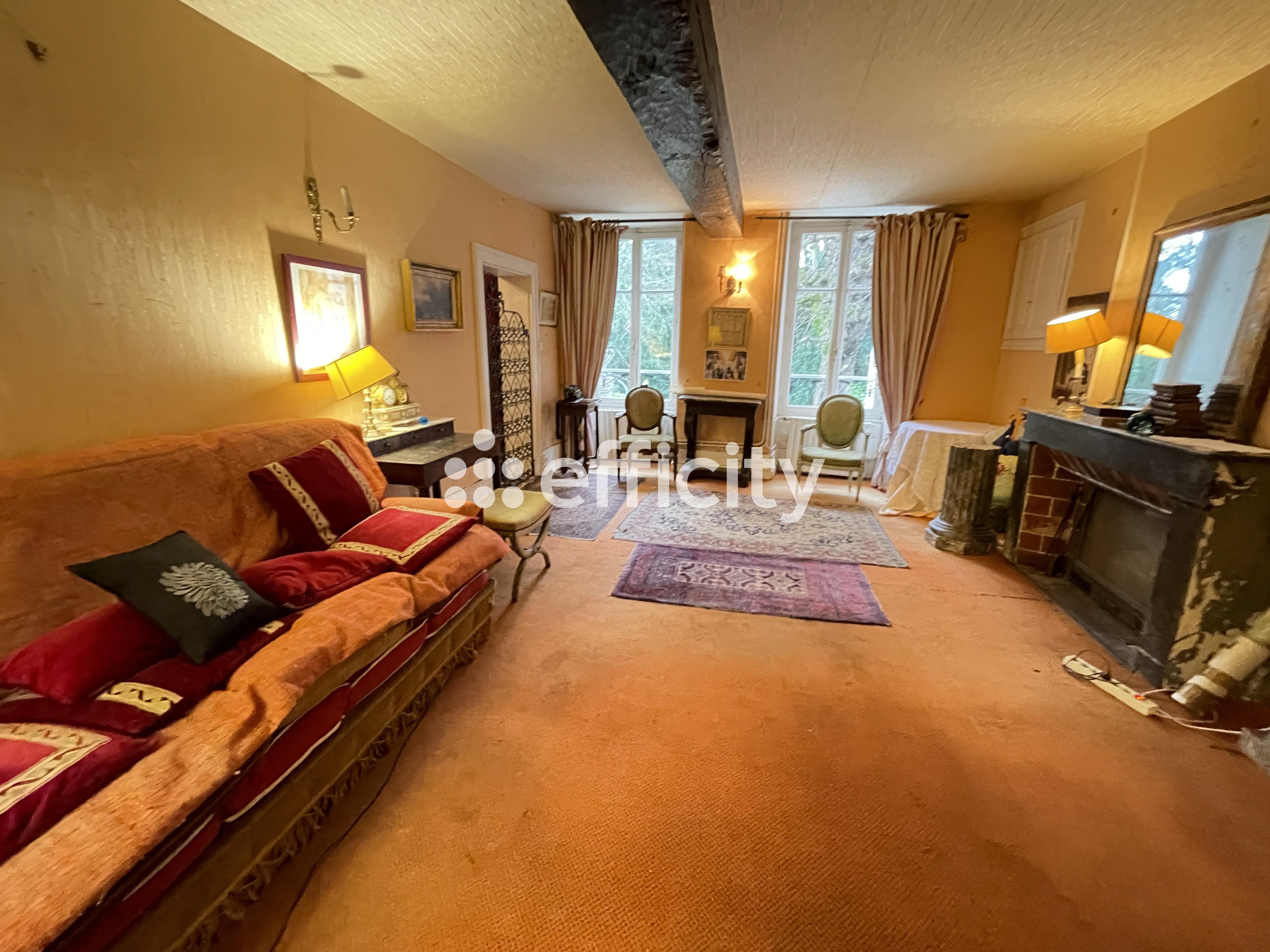 Achat immobilier Maison 12 pièces  350m2 à Busset (03270) - Photo n°6