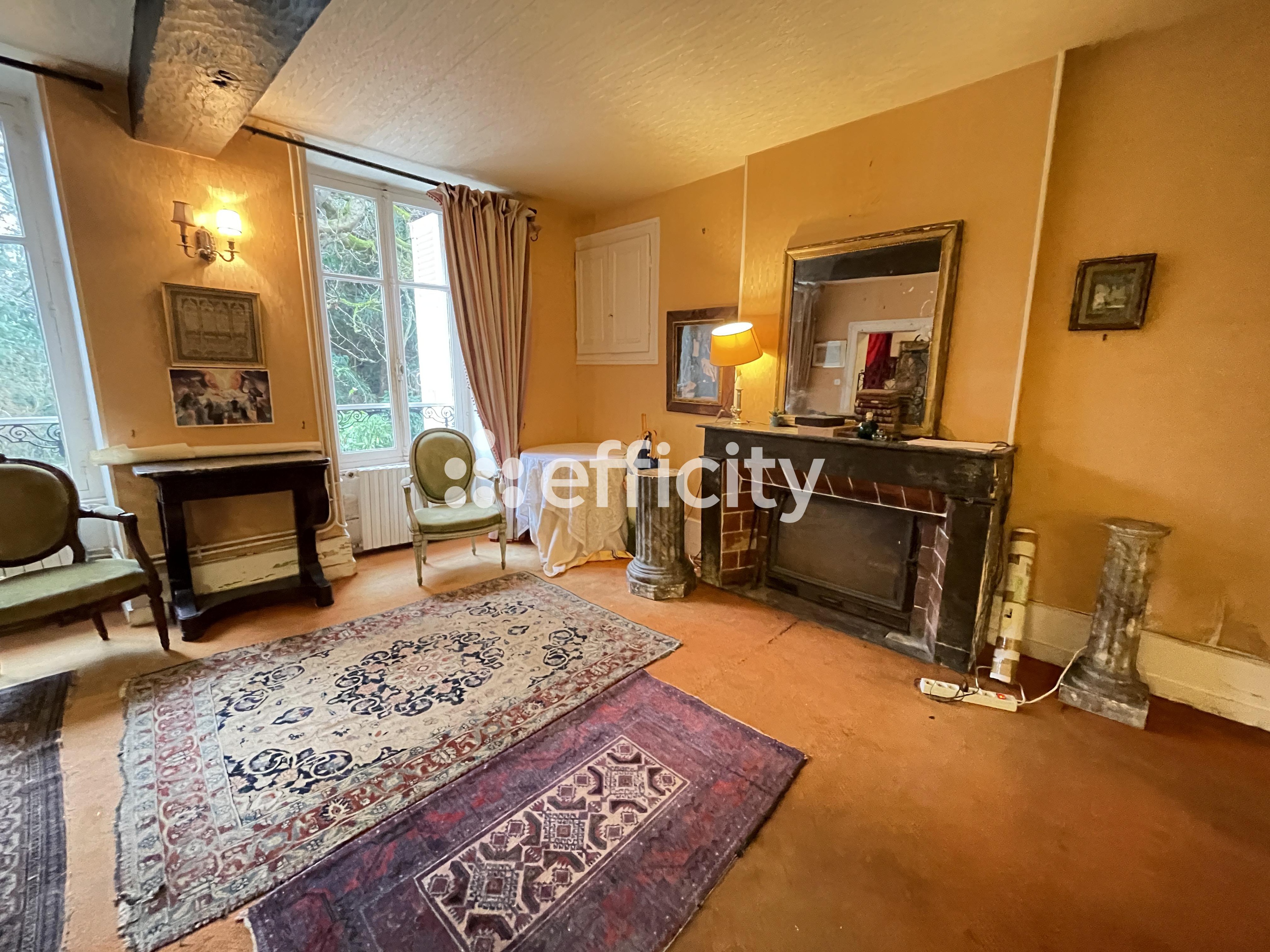 Achat immobilier Maison 12 pièces  350m2 à Busset (03270) - Photo n°4