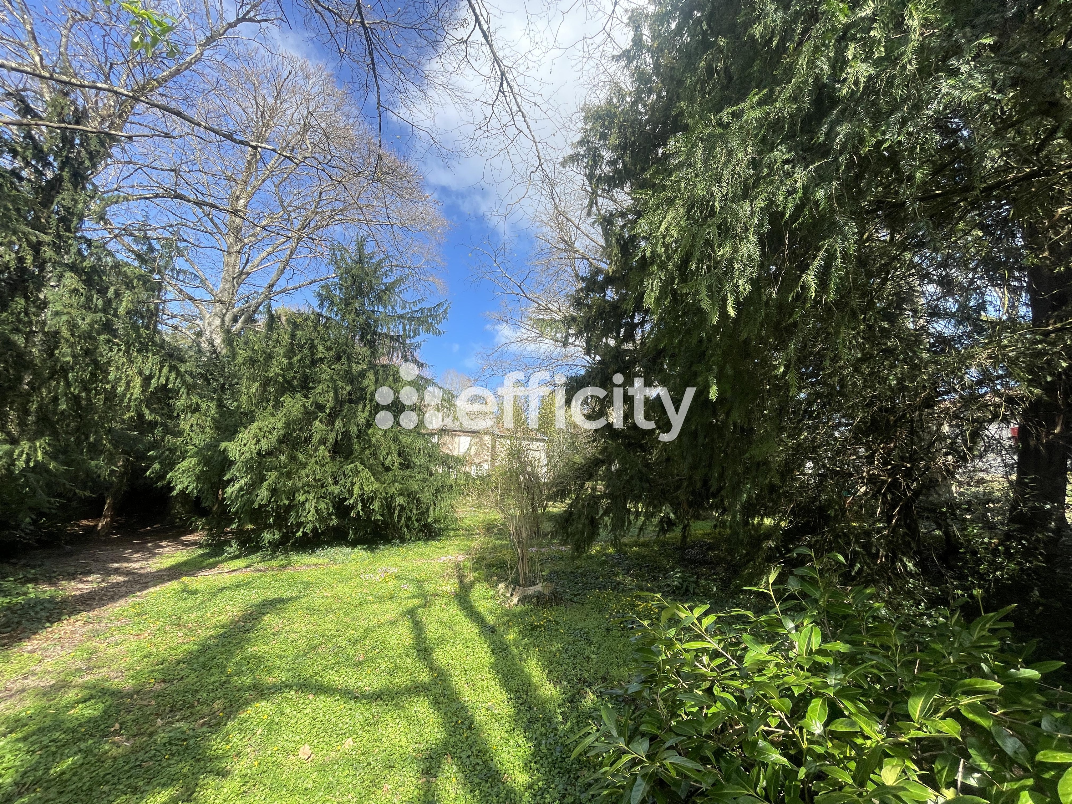 Achat immobilier Maison 12 pièces  350m2 à Busset (03270) - Photo n°8