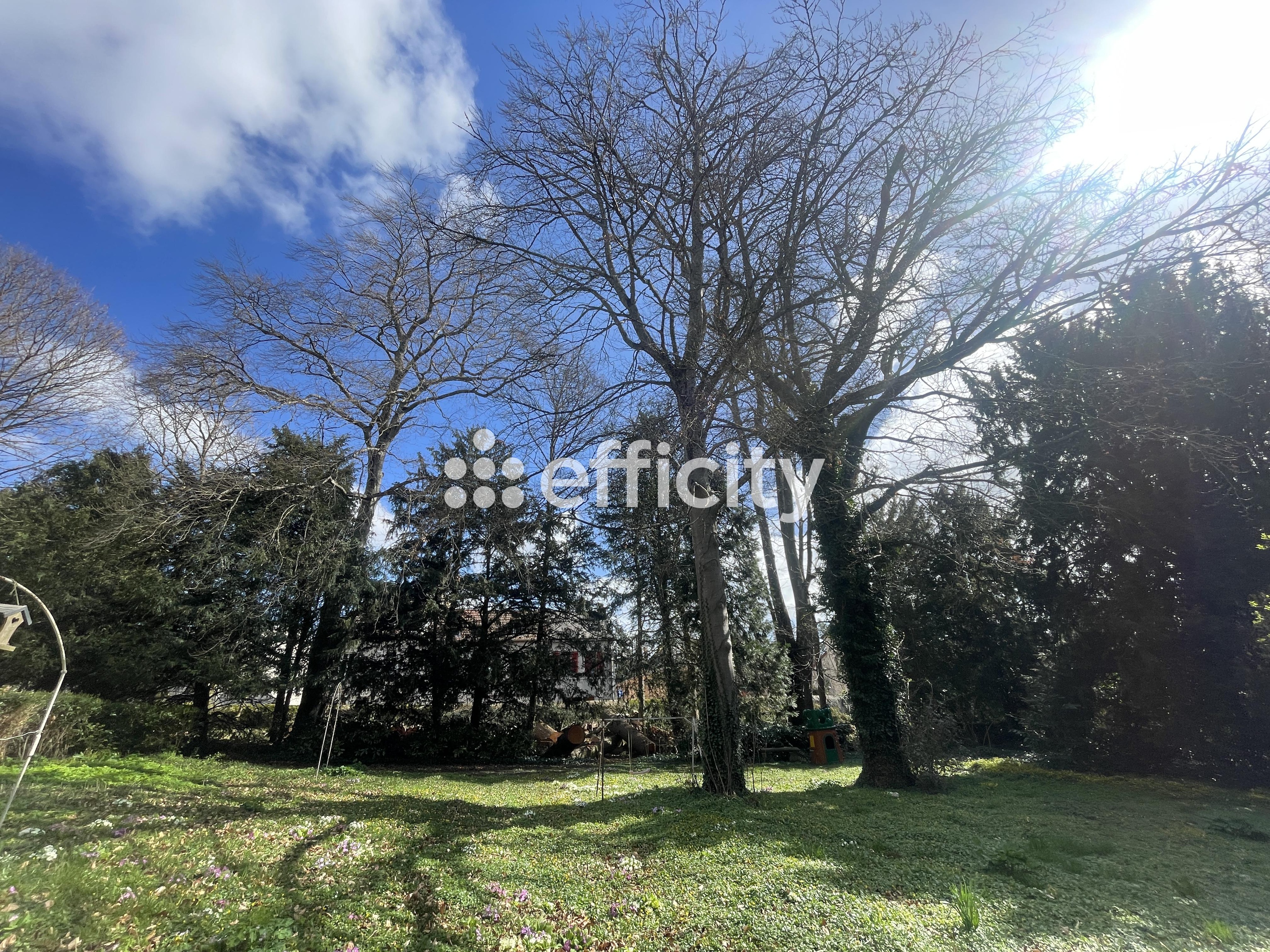 Achat immobilier Maison 12 pièces  350m2 à Busset (03270) - Photo n°9