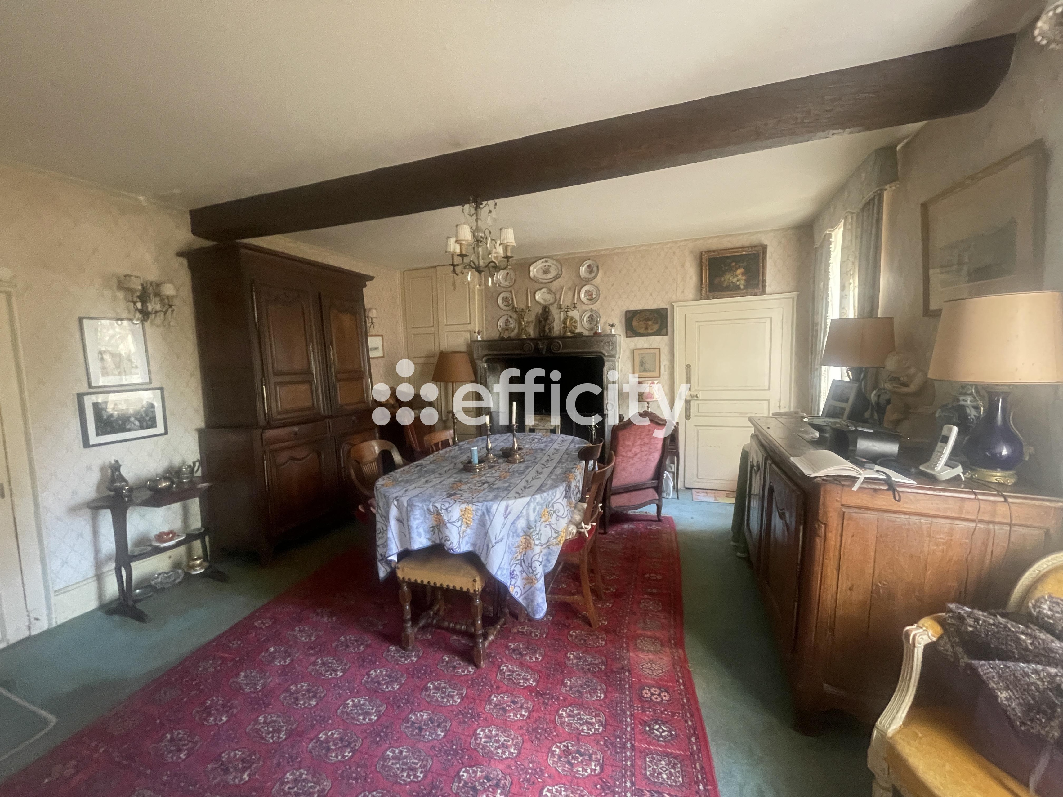 Achat immobilier Maison 12 pièces  350m2 à Busset (03270) - Photo n°11