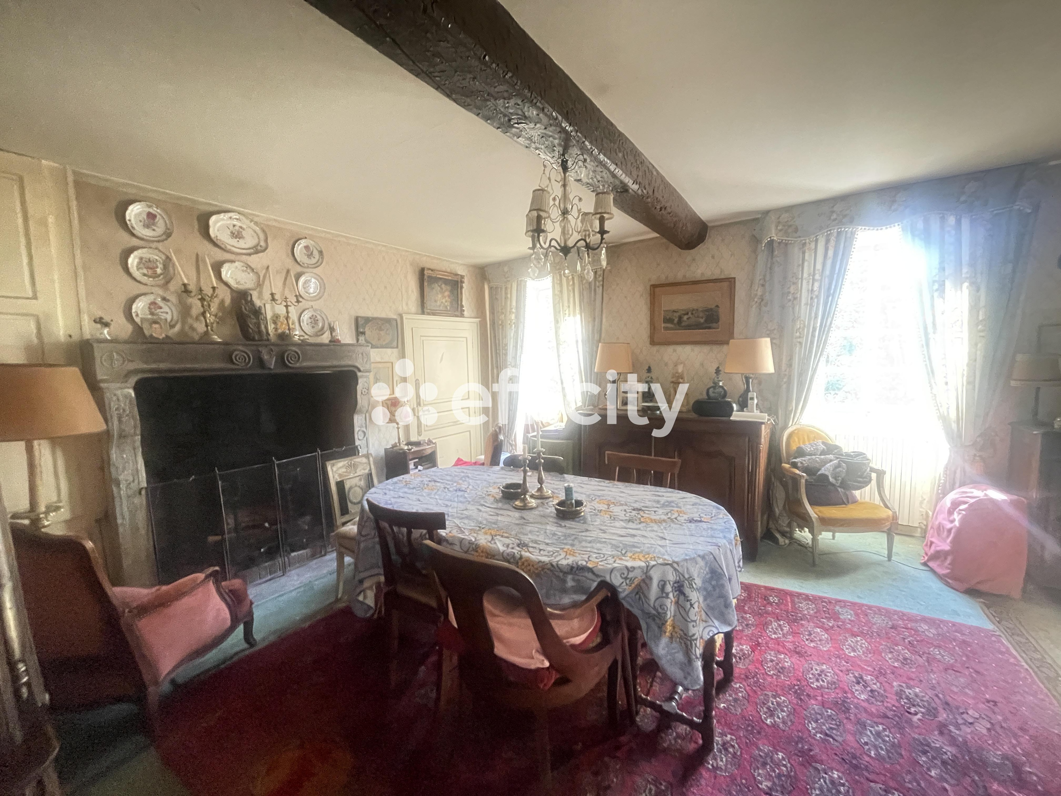 Achat immobilier Maison 12 pièces  350m2 à Busset (03270) - Photo n°12