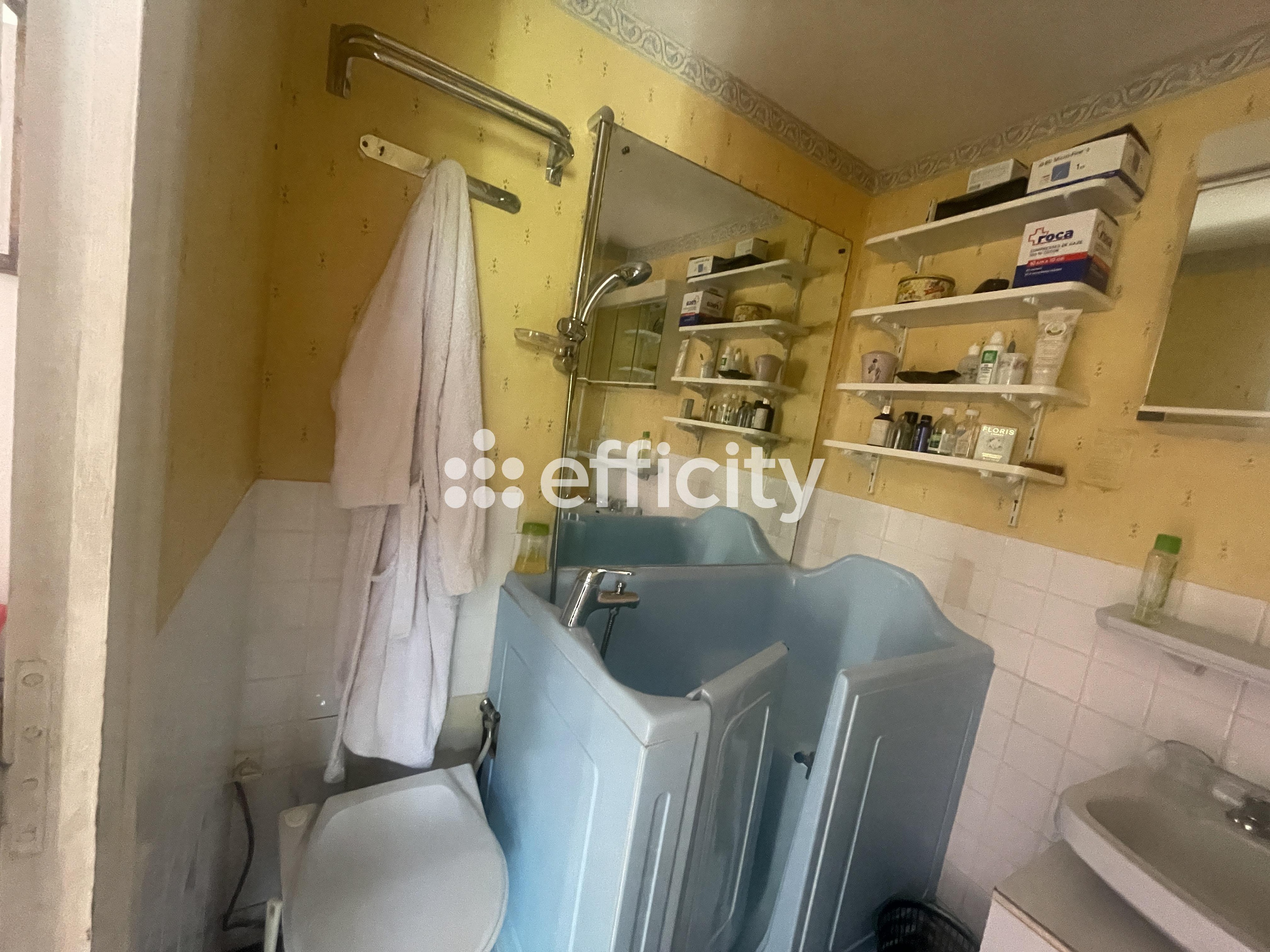 Achat immobilier Maison 12 pièces  350m2 à Busset (03270) - Photo n°19