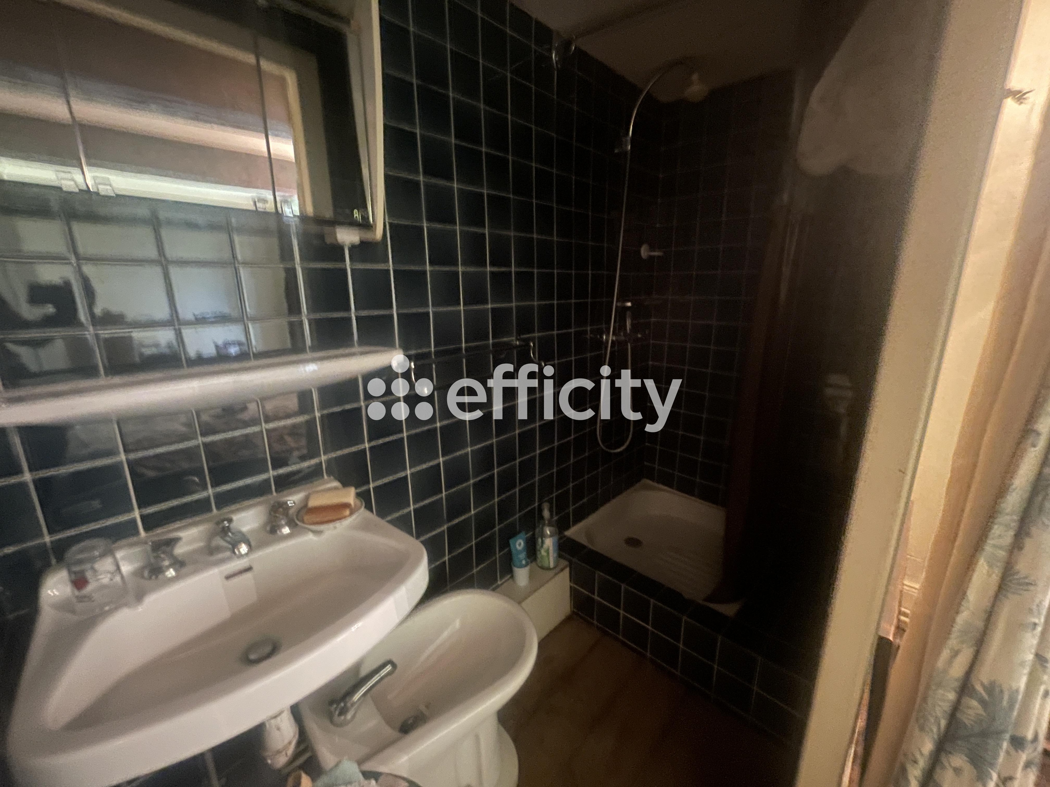 Achat immobilier Maison 12 pièces  350m2 à Busset (03270) - Photo n°27