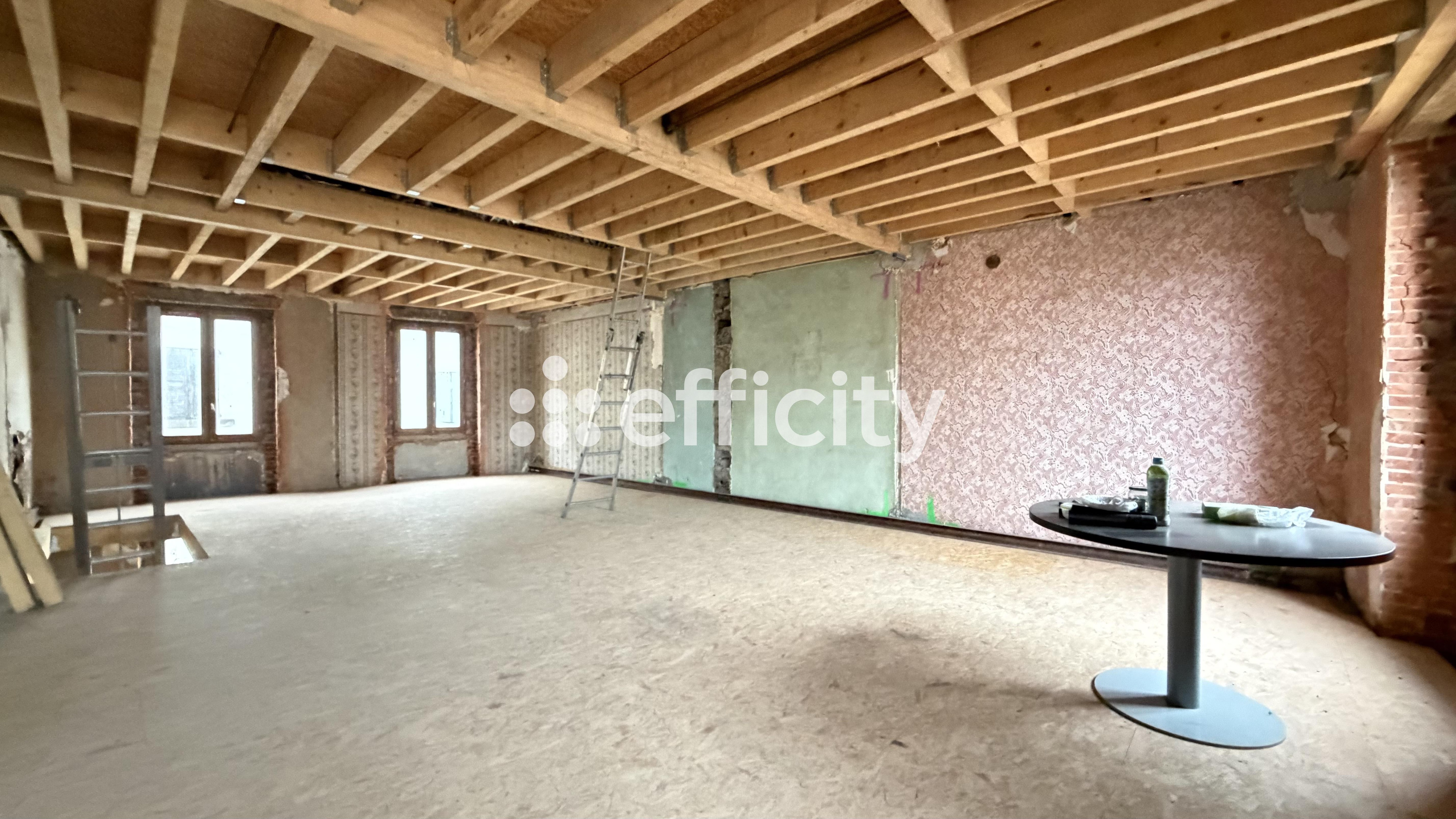 Achat immobilier Maison 5 pièces  165m2 à Roybon (38940) - Photo n°4