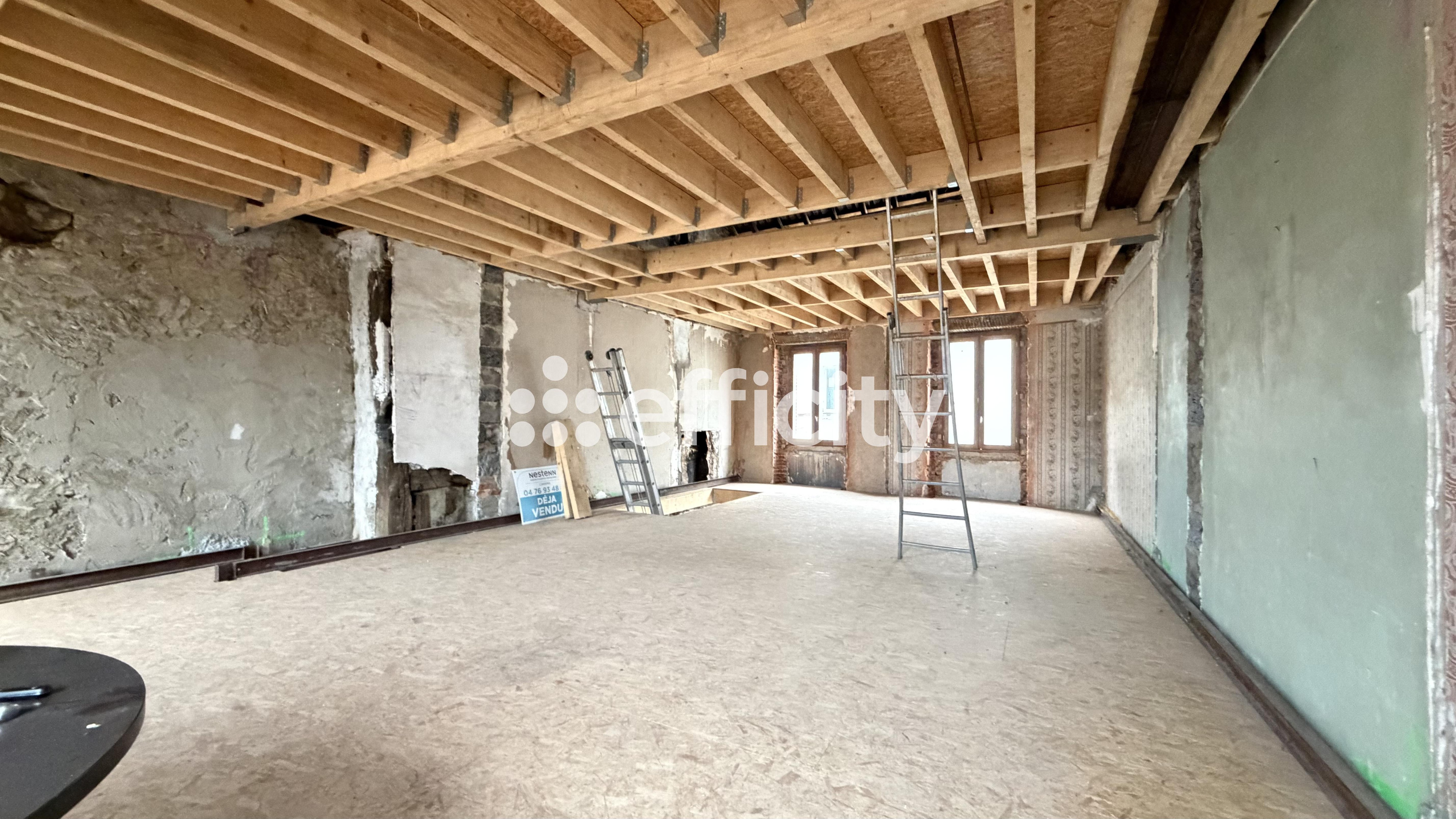 Achat immobilier Maison 5 pièces  165m2 à Roybon (38940) - Photo n°5