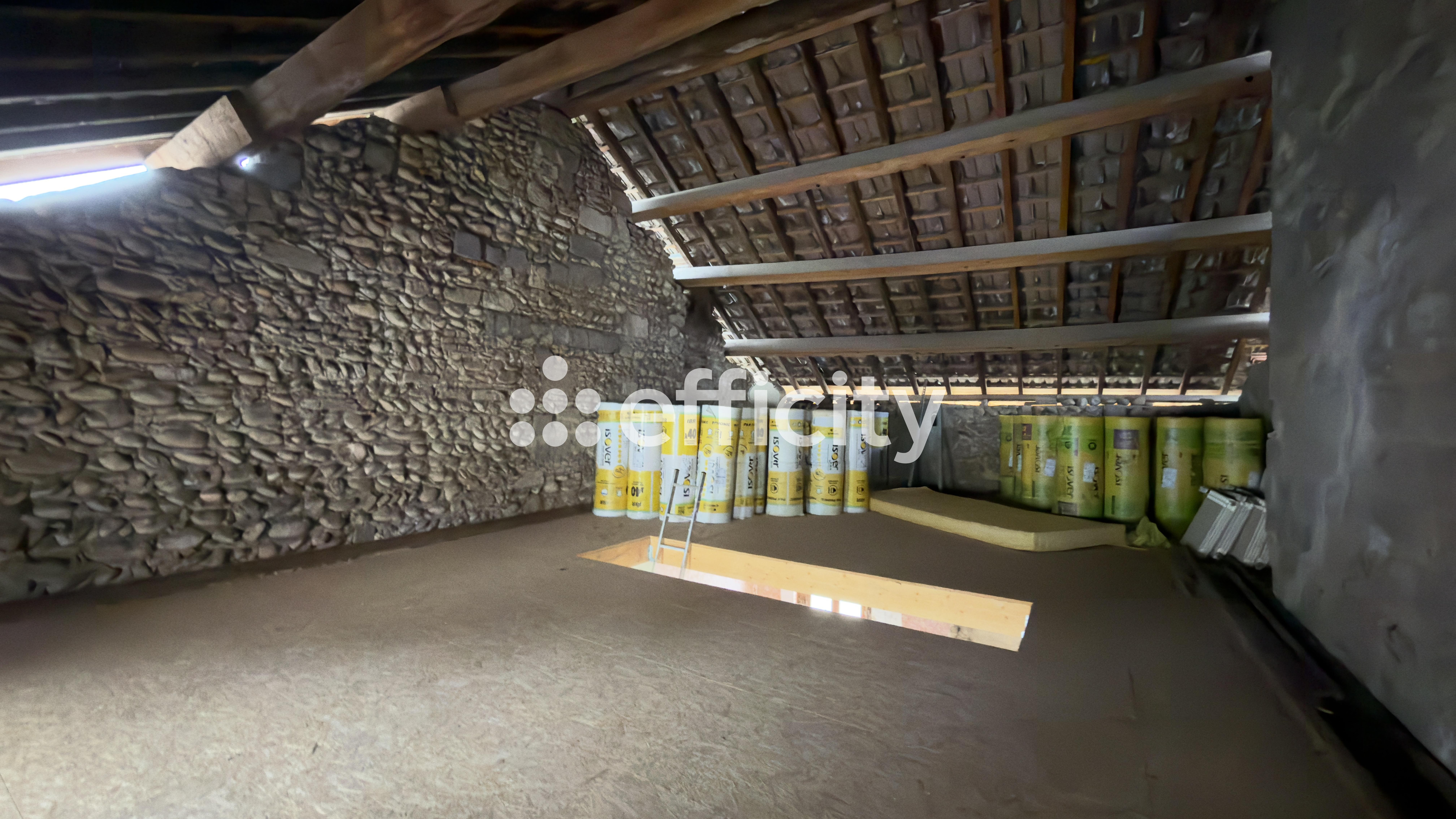 Achat immobilier Maison 5 pièces  165m2 à Roybon (38940) - Photo n°7