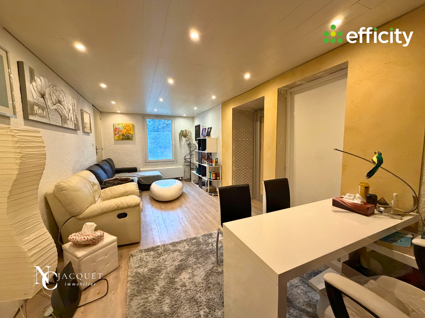 Achat immobilier Maison 11 pièces  334m2 à Les Abrets en Dauphiné (38490) - Photo n°15