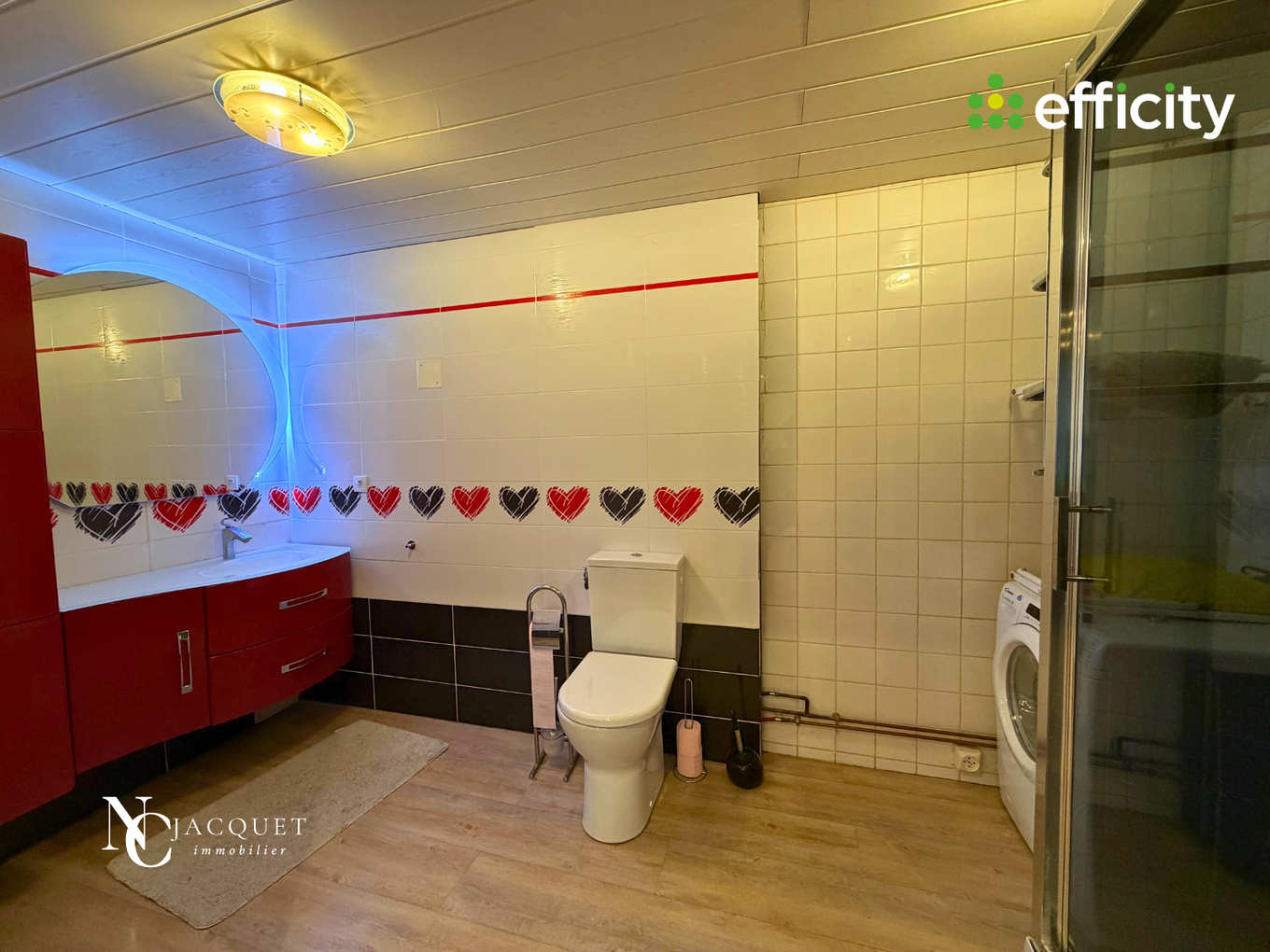 Achat immobilier Maison 11 pièces  334m2 à Les Abrets en Dauphiné (38490) - Photo n°19