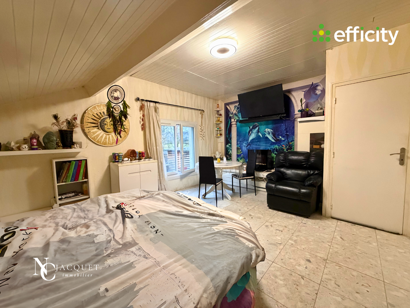 Achat immobilier Maison 11 pièces  334m2 à Les Abrets en Dauphiné (38490) - Photo n°20