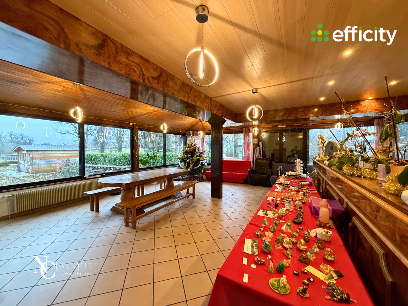 Achat immobilier Maison 11 pièces  334m2 à Les Abrets en Dauphiné (38490) - Photo n°10