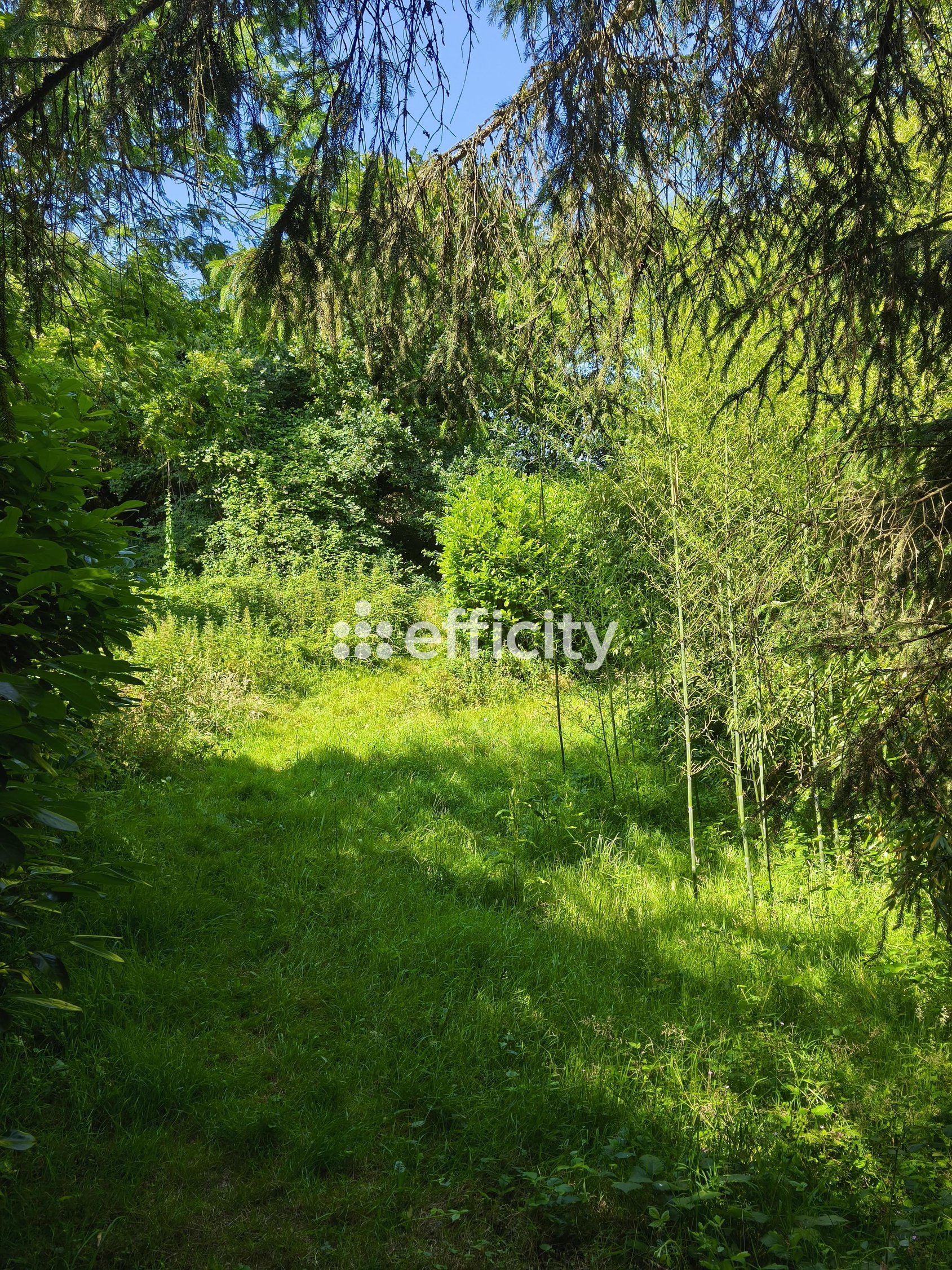 maison 5 pièces - 108m2 à Brusvily (22100)