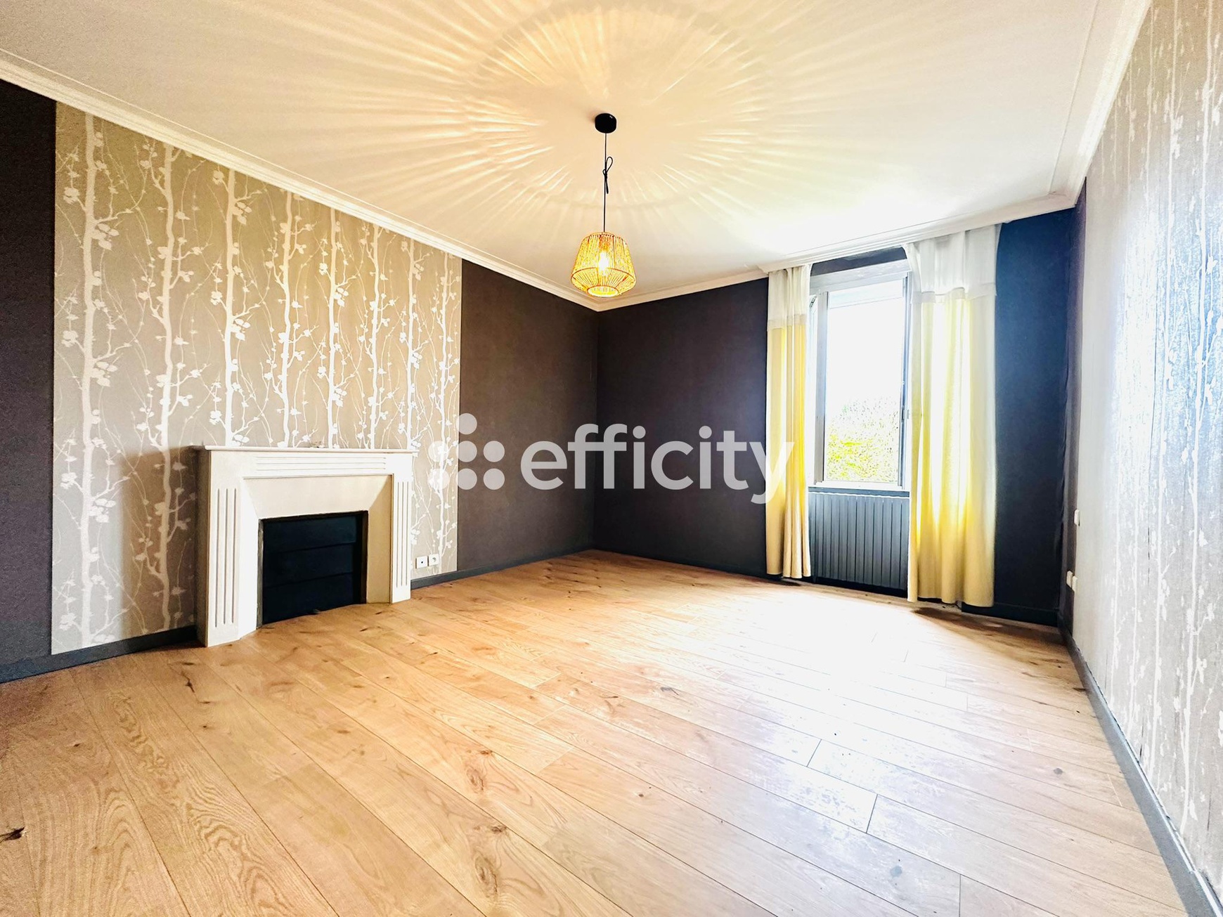 Achat immobilier Maison 8 pièces  225m2 à Retiers (35240) - Photo n°5